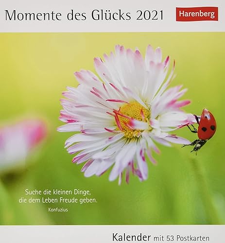 Momente des Glücks Postkartenkalender 2021 - Tischkalender mit Wochenkalendarium - 53 perforierte Postkarten zum Heraustrennen - zum Aufstellen oder ... Format 12 x 15 cm: Kalender mit 53 Postkarten