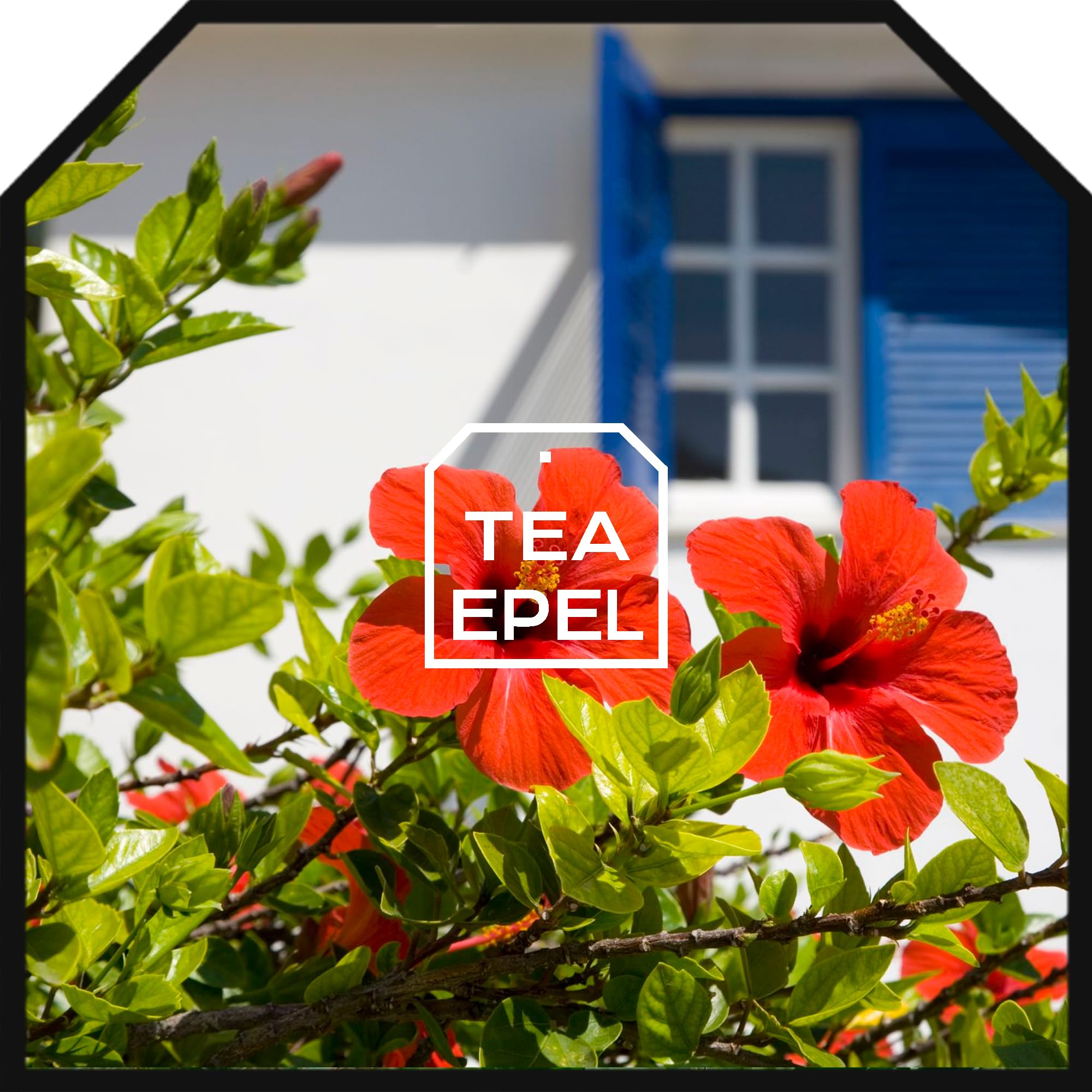 Flor de Jamaica para Adelgazar 200g - Te de Hibisco para Reducir Hinchazon de Barriga - Infusion Antioxidante y Natural para Bajar de Peso - Te Frio Detox para Aliviar Inflamacion — view 11