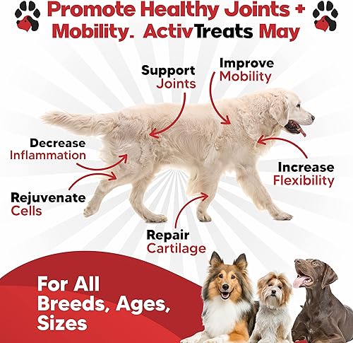 Miniatura 2 de Glucosamina para perros Suplemento de cadera y articulaciones, apoyo seguro para las articulaciones para perros, suplemento para articulaciones de