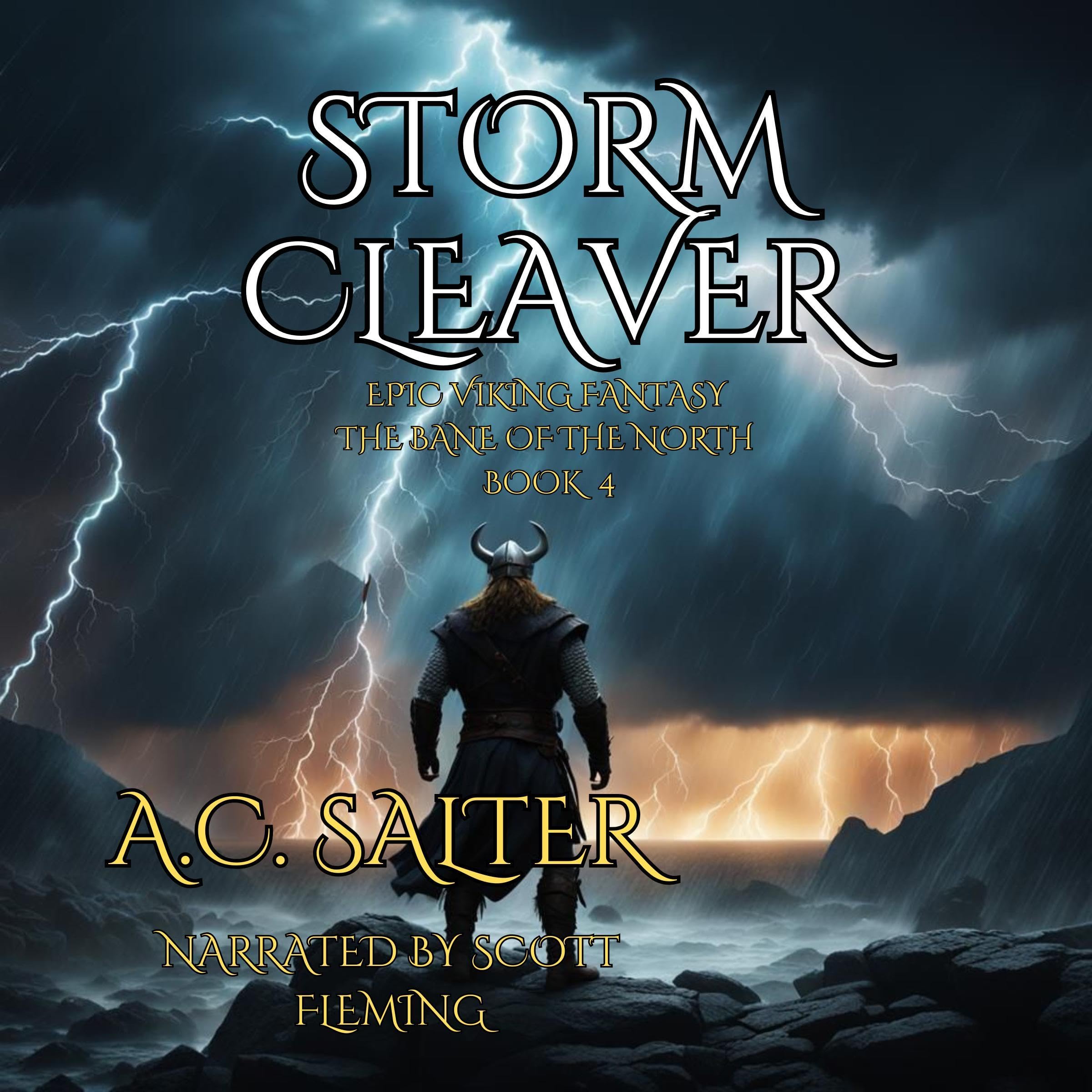 Cover art for Storm Cleaver