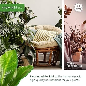 JGL COB LED grow light 1個使用済み品 JGL COB LED grow light 1個使用済み品 - メルカリ