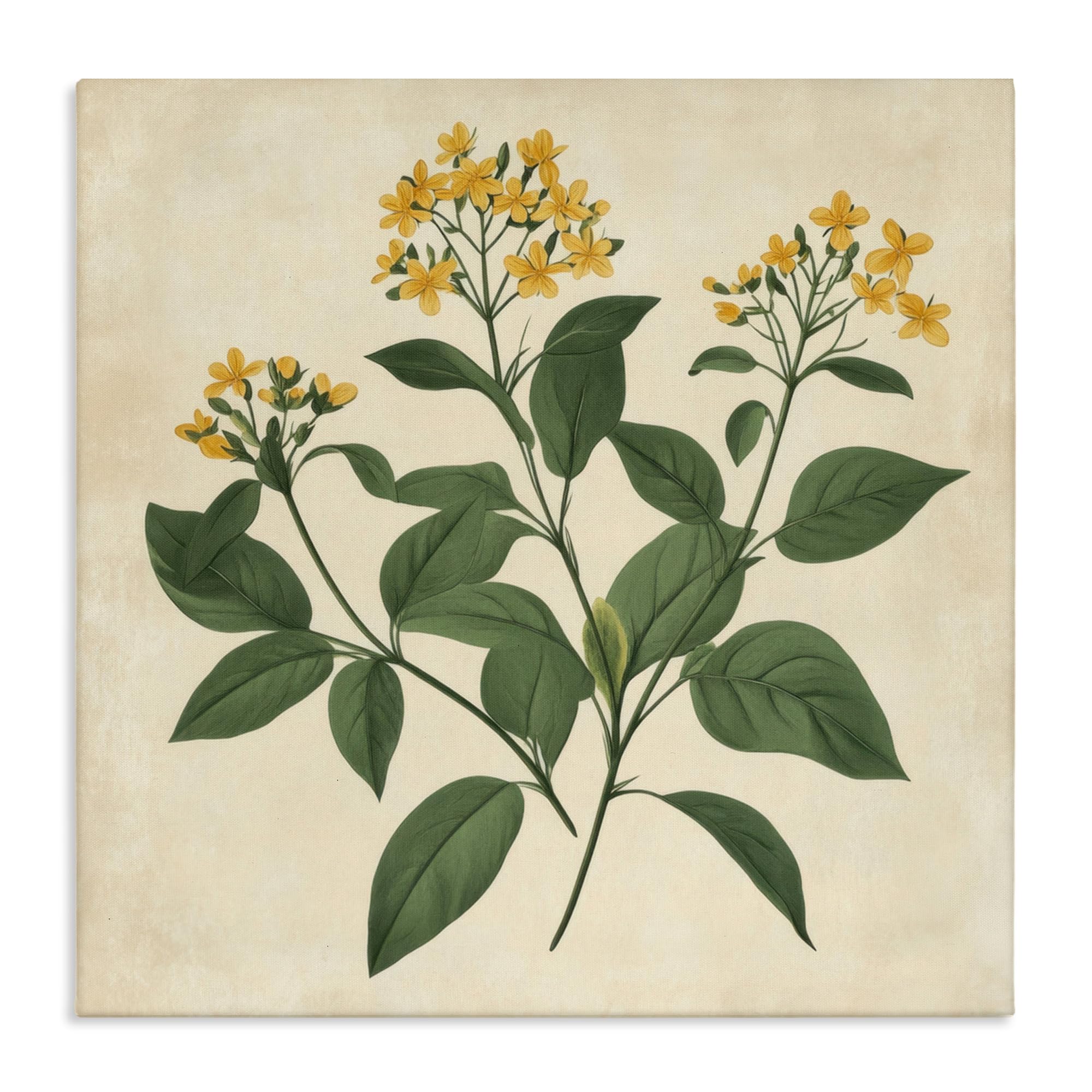Stupell Industries Unframed 'Yellow Bushels Botanical Illustration'| Canvas Art