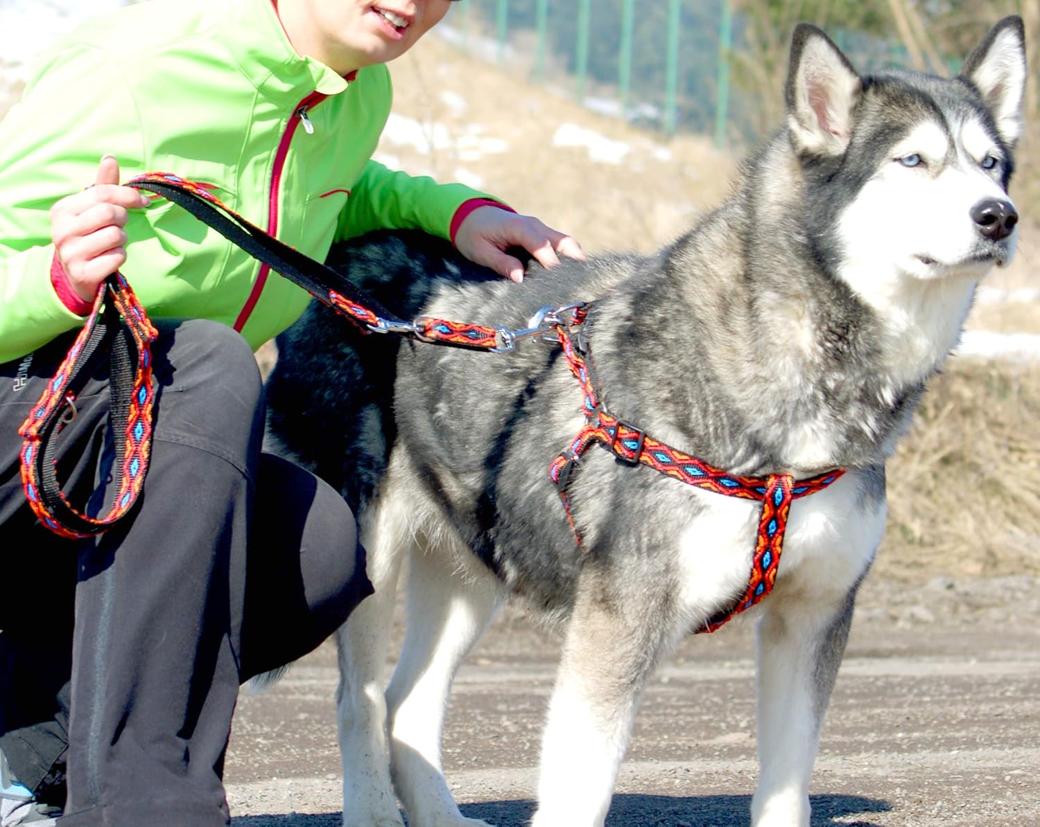 Dingo Winnetou Adjustable Dog Leash Handmade in Indian Style Howgh! Blue 13569