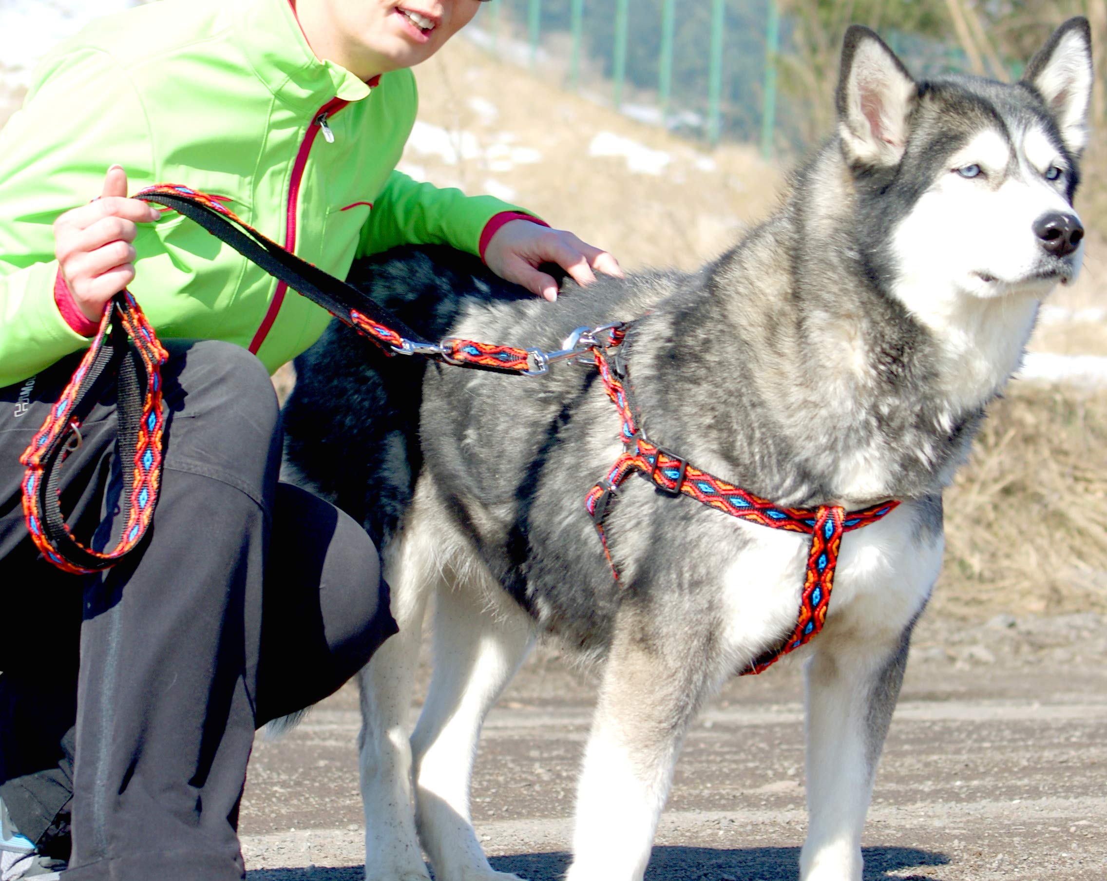 Dingo Winnetou Adjustable Dog Leash Handmade in Indian Style Howgh! Blue 13569, 1.6 x 220 cm - Image 3