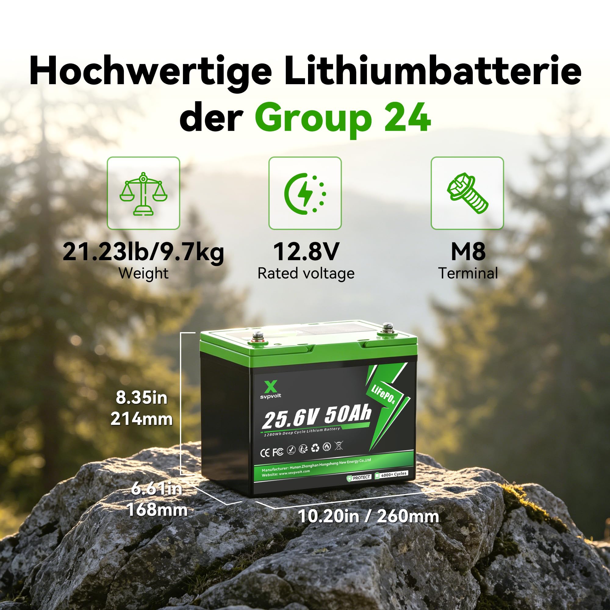 Batteria LiFePO4 24V 50Ah