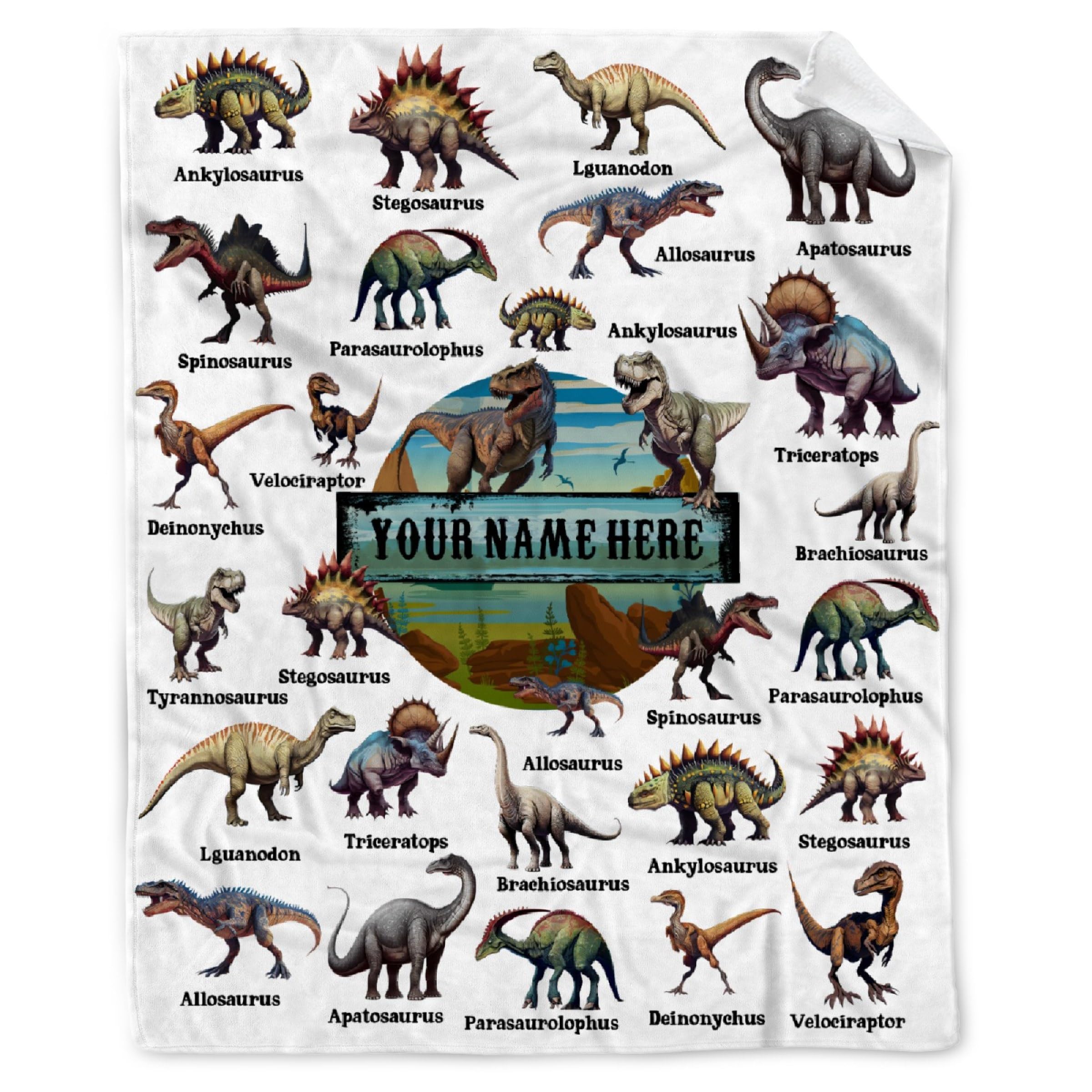 Personalized Dinosaurs Blanket Gift for Boy Girl,Custom Dinosaur Blanket