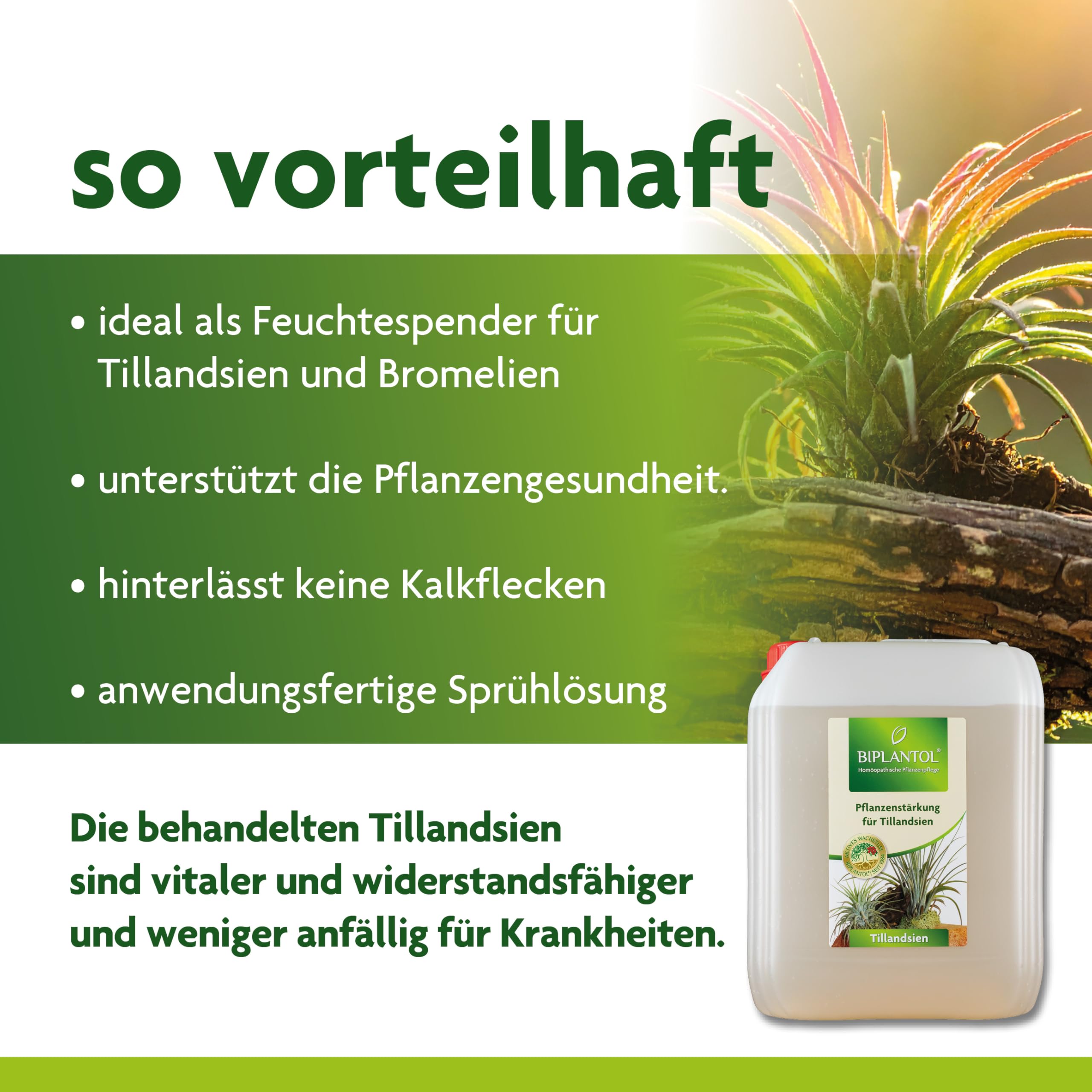 Tillandsien 5L – Natürliche Pflege für Tillandsien & Bromelien – Pflanzenstärkungsmittel zur Regeneration & Blühfreude – Ideal für epiphytische Zimmerpflanzen – Luftpflanzen