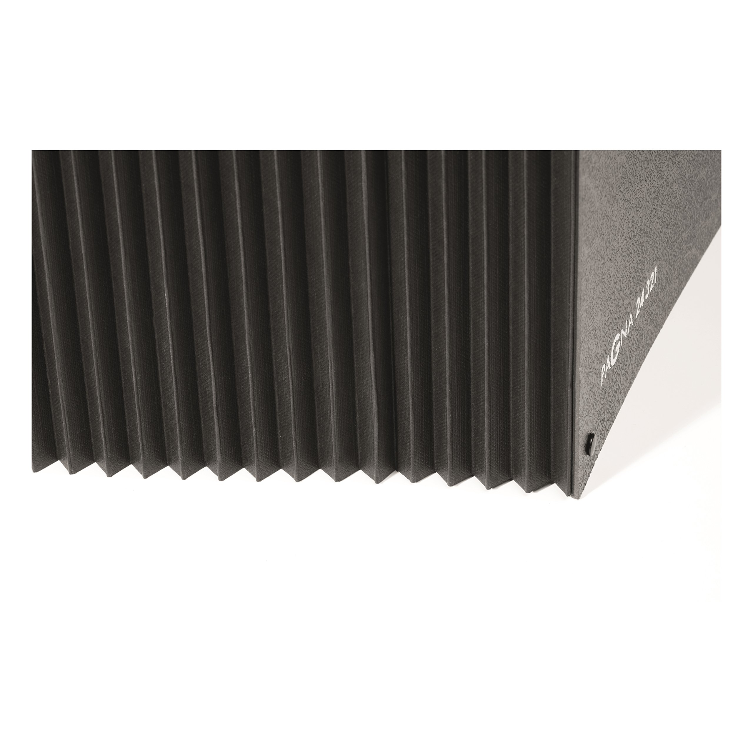 Pagna segregator Classic (teczka, 32 przegródki, 1-31) czarny Pagna 24321-04 - 90 cm x 2,1 m