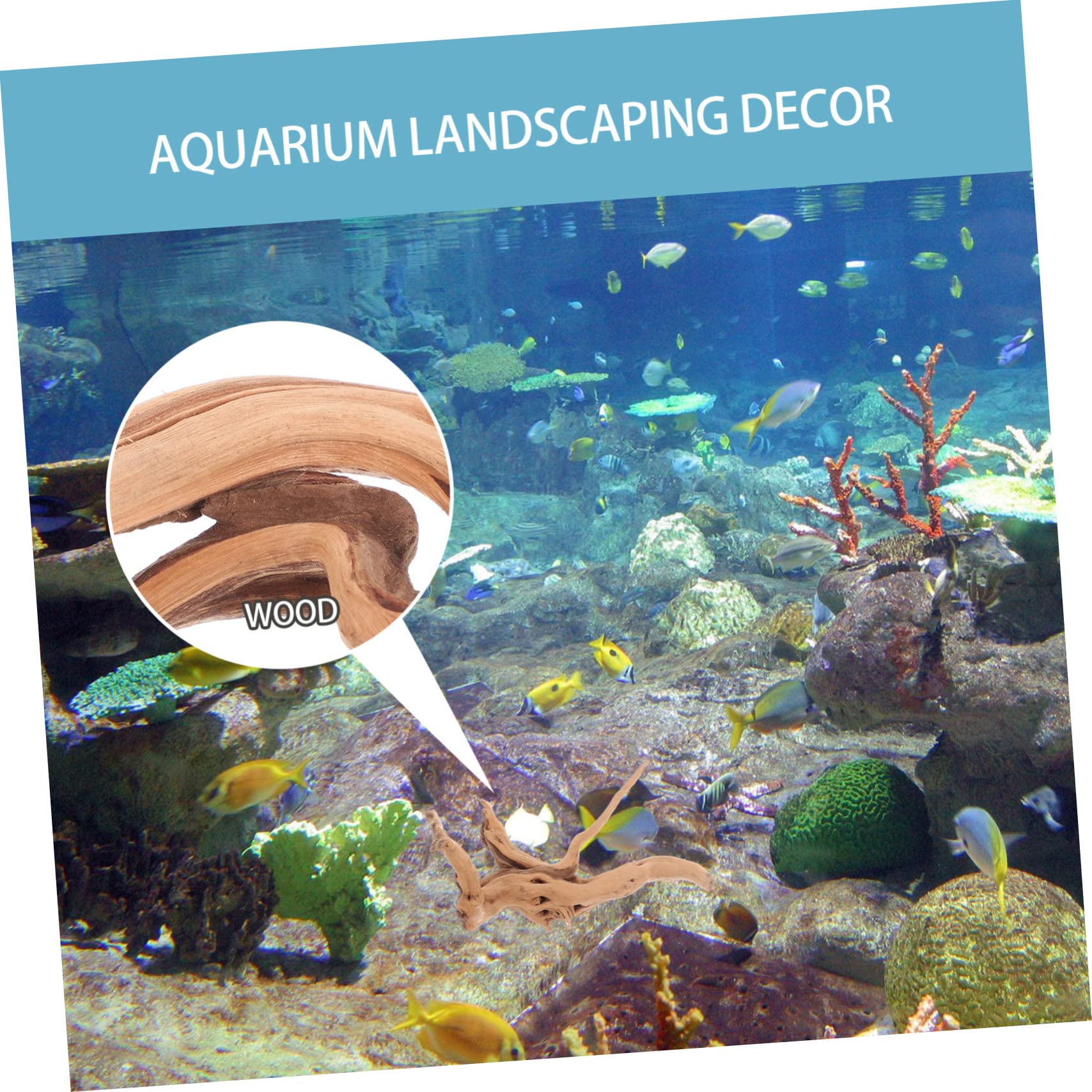 UPKOCH 3 Piezas Adorno de Madera Flotante Natural para Acuarios Driftwood para Decoración de Peceras para Paisajismo Acuático y Terrarios