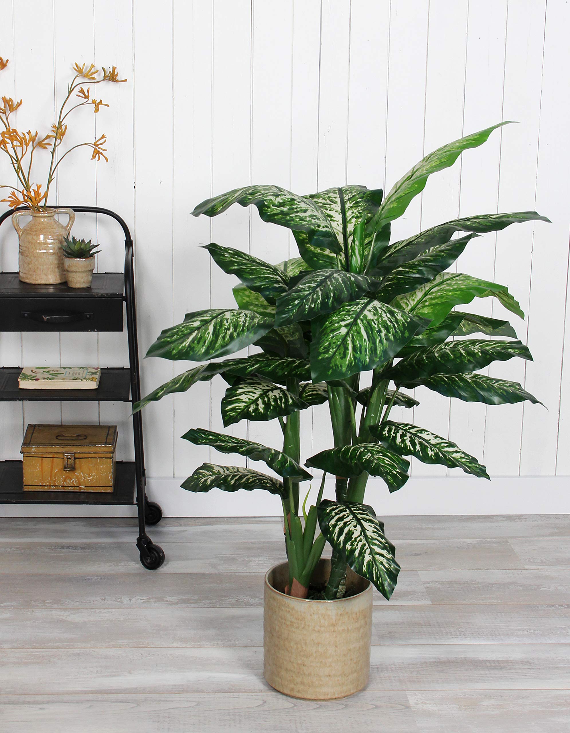Amazon.de: MICA Decorations Dieffenbachia Kunstpflanze - H120 x 60 cm -  Grn