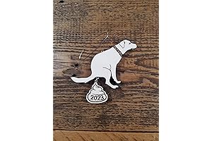Dog Poop 2023 Ornament: A Unique and Festive Holiday Decoration