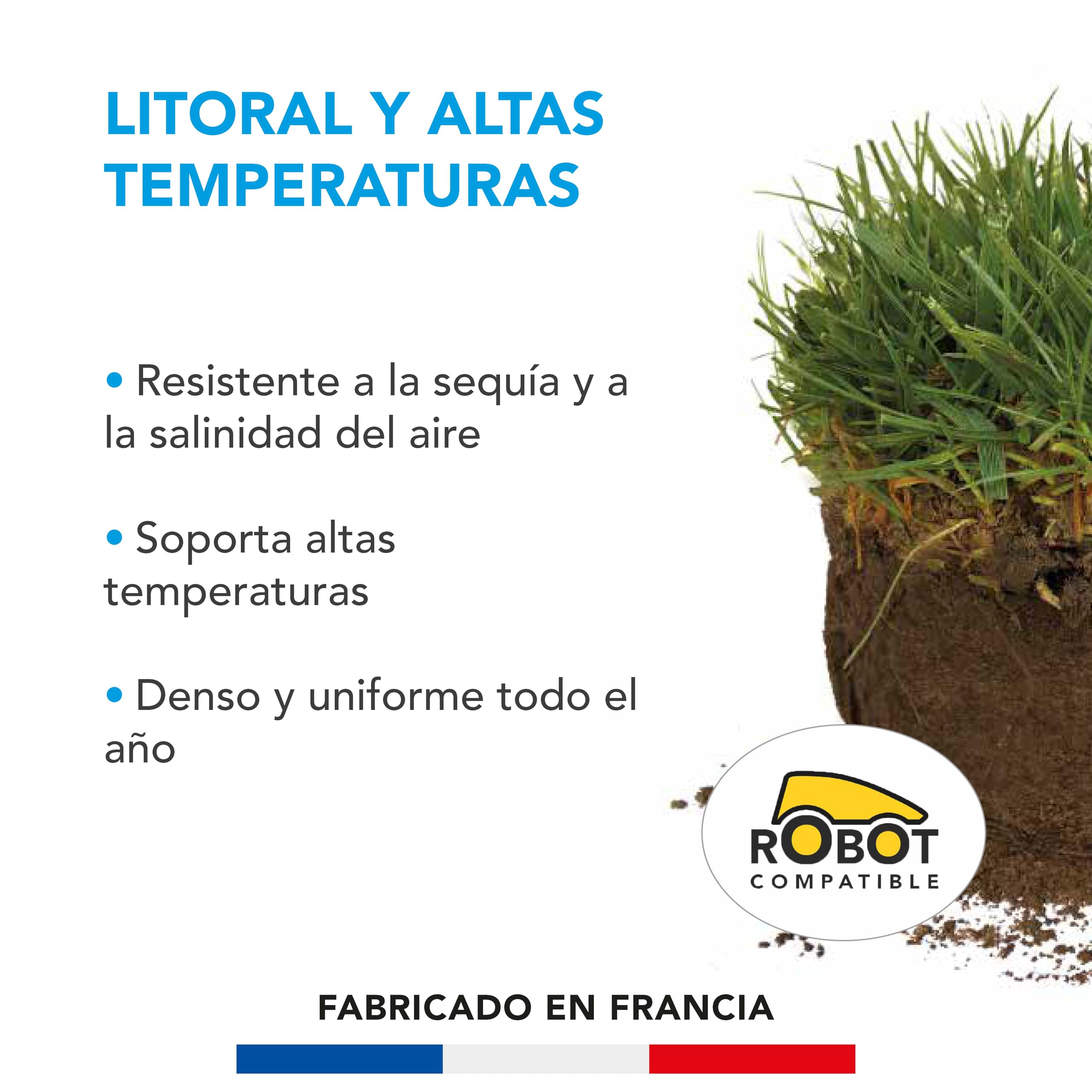 Barenbrug - Césped Litoral y Altas Temperaturas - Resistente a la Sequía y a la Vientos costeros - Soporta Altas Temperaturas - Denso y Uniforme Todo el Año - Fabricado en Francia - 3 Kg