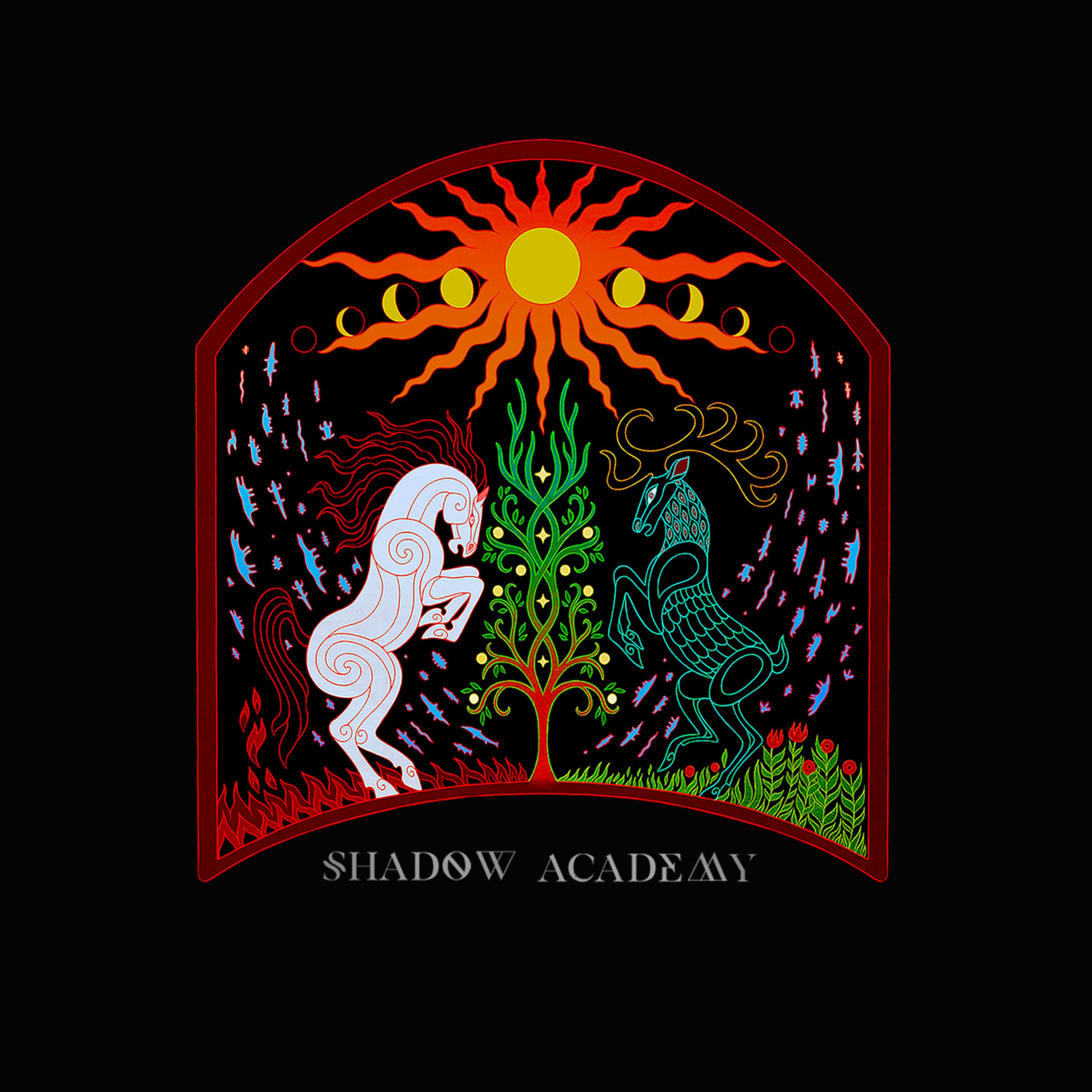 The Shadow Academy