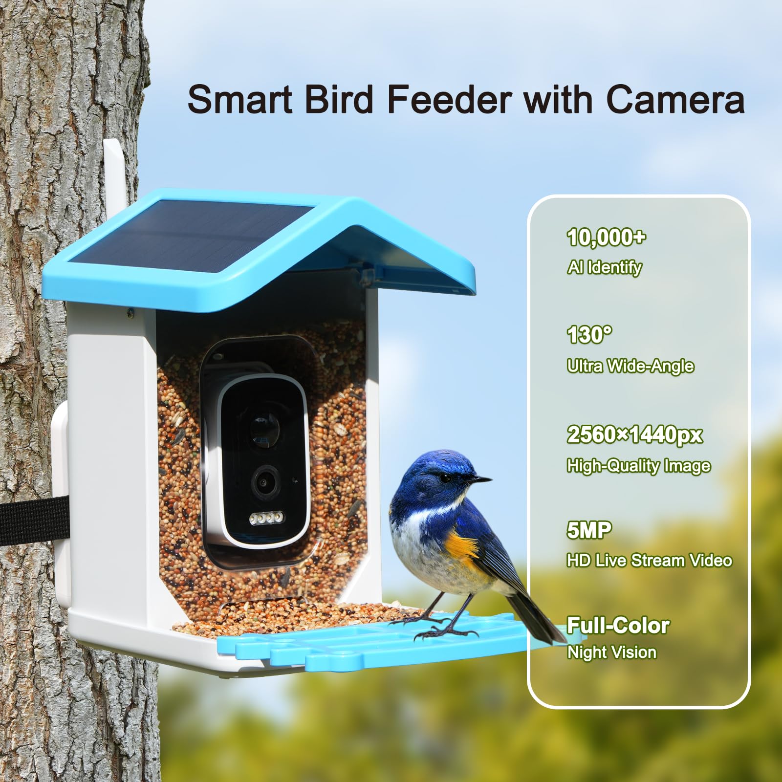 Smart Bird Feeder with Camera - Solar Powered AI Identify - Dettaglio