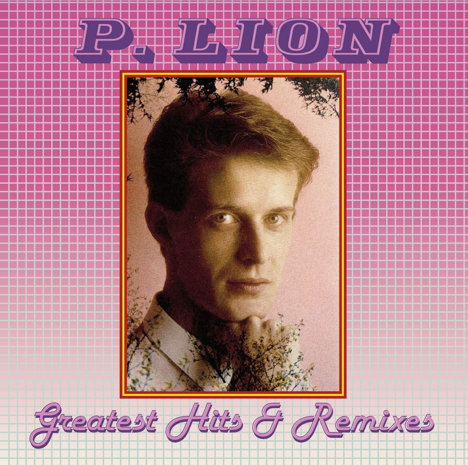 Greatest Hits & Remixes [VINYL]