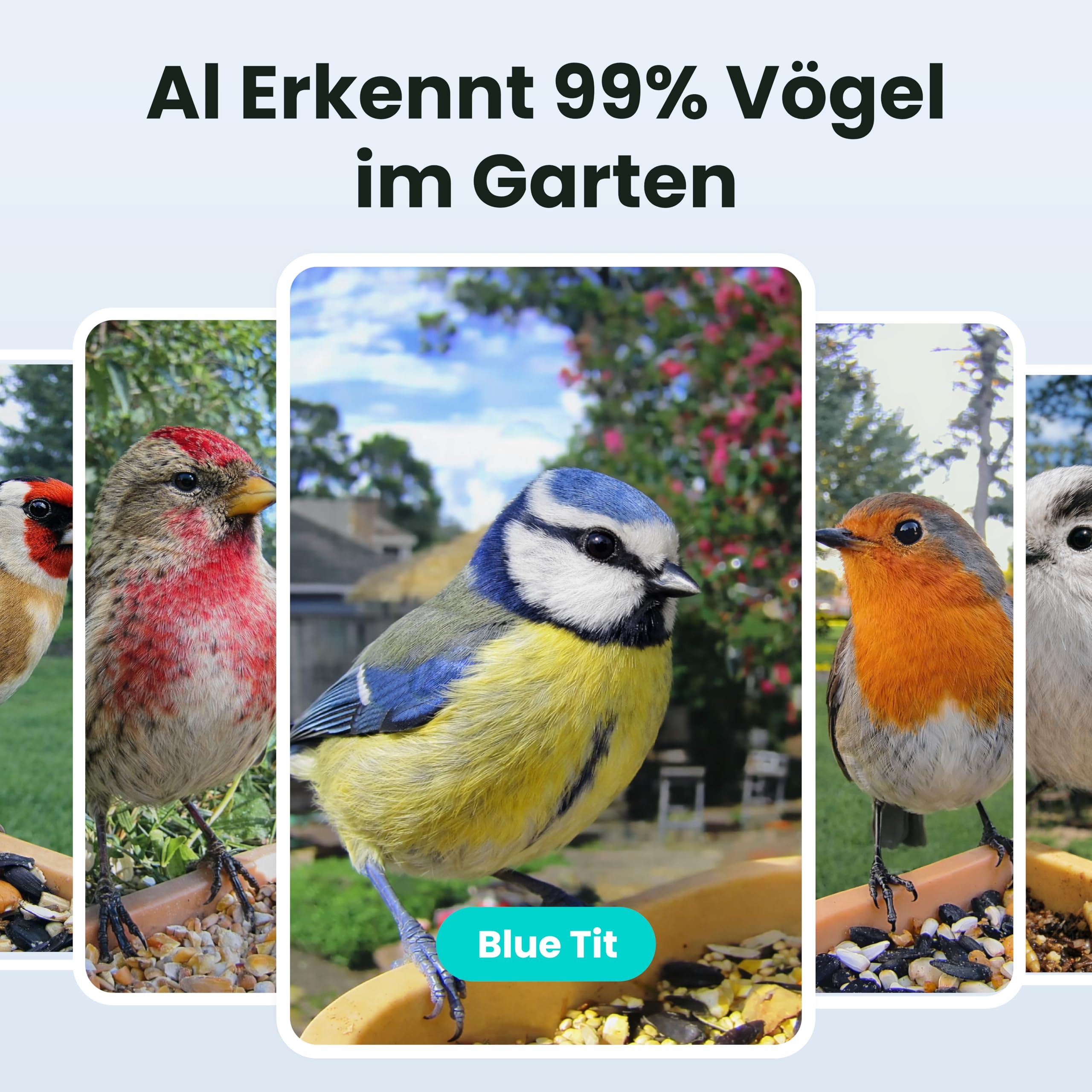 Birdfy Smart Vogelfutterhaus mit Kamera für Anfänger, Solarbetriebener Vogelfutterautomat für den Außenbereich mit doppelter Nachtsicht, KI Vogelerkennung kostenlos, Zeitlupe und Schutzklasse IP66