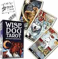 Amazon.co.jp: ワイズ ドッグ タロット Wise Dog Tarot タロット