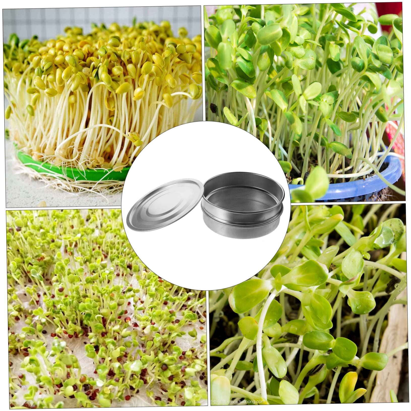Garneck Kit De Bandeja De Germinación, Bandeja De Acero Inoxidable Malla, 3 Piezas para Germinar Semillas En Casa, Jardín o Oficina