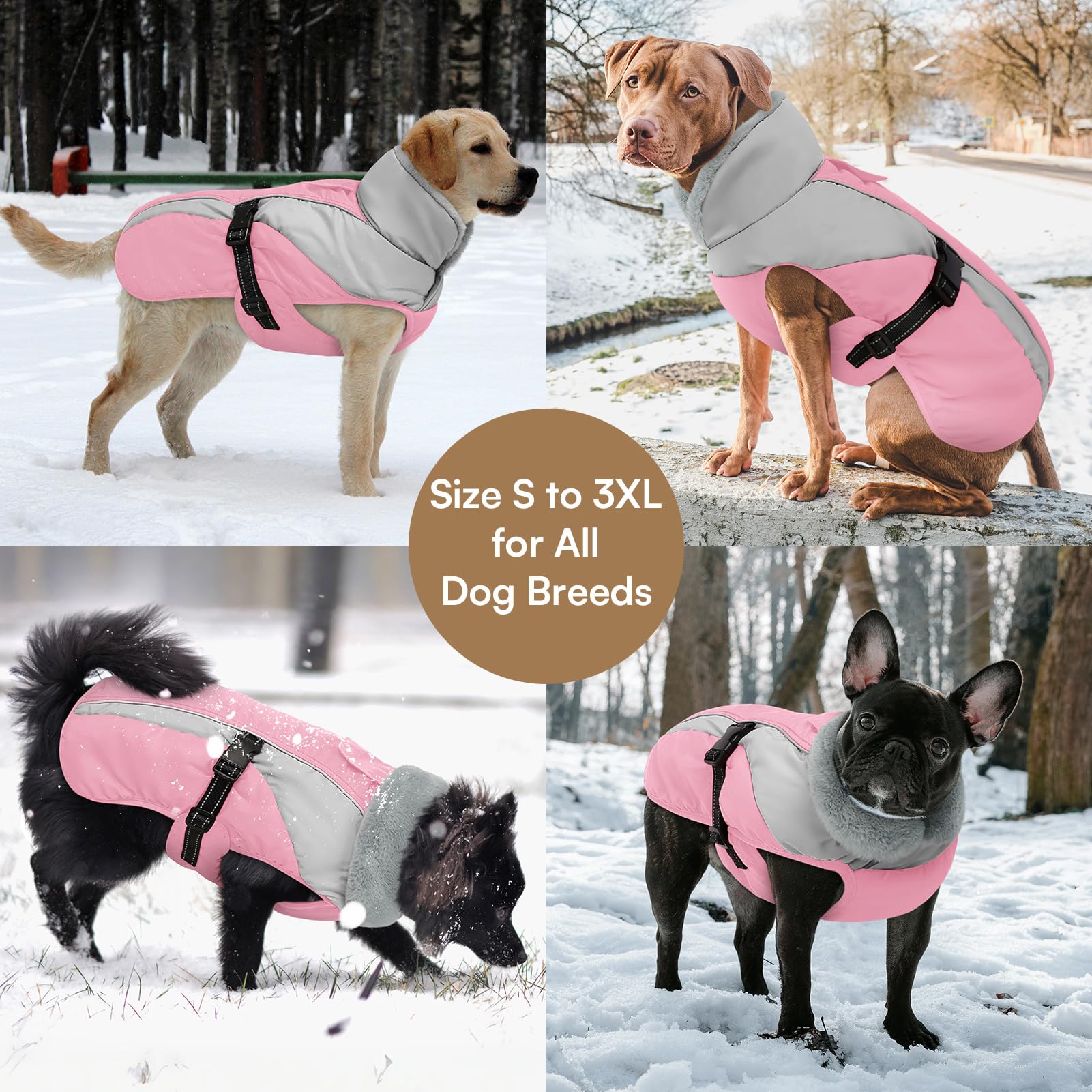 Xxl Dog Coats