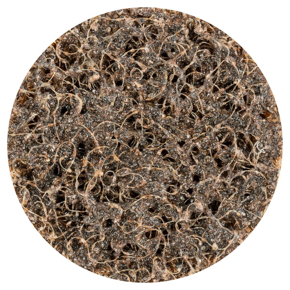 PFERD 43234 Combidisc Non-Woven Quick Change Disc, CDR Type, Aluminum Oxide A, 1-1/2