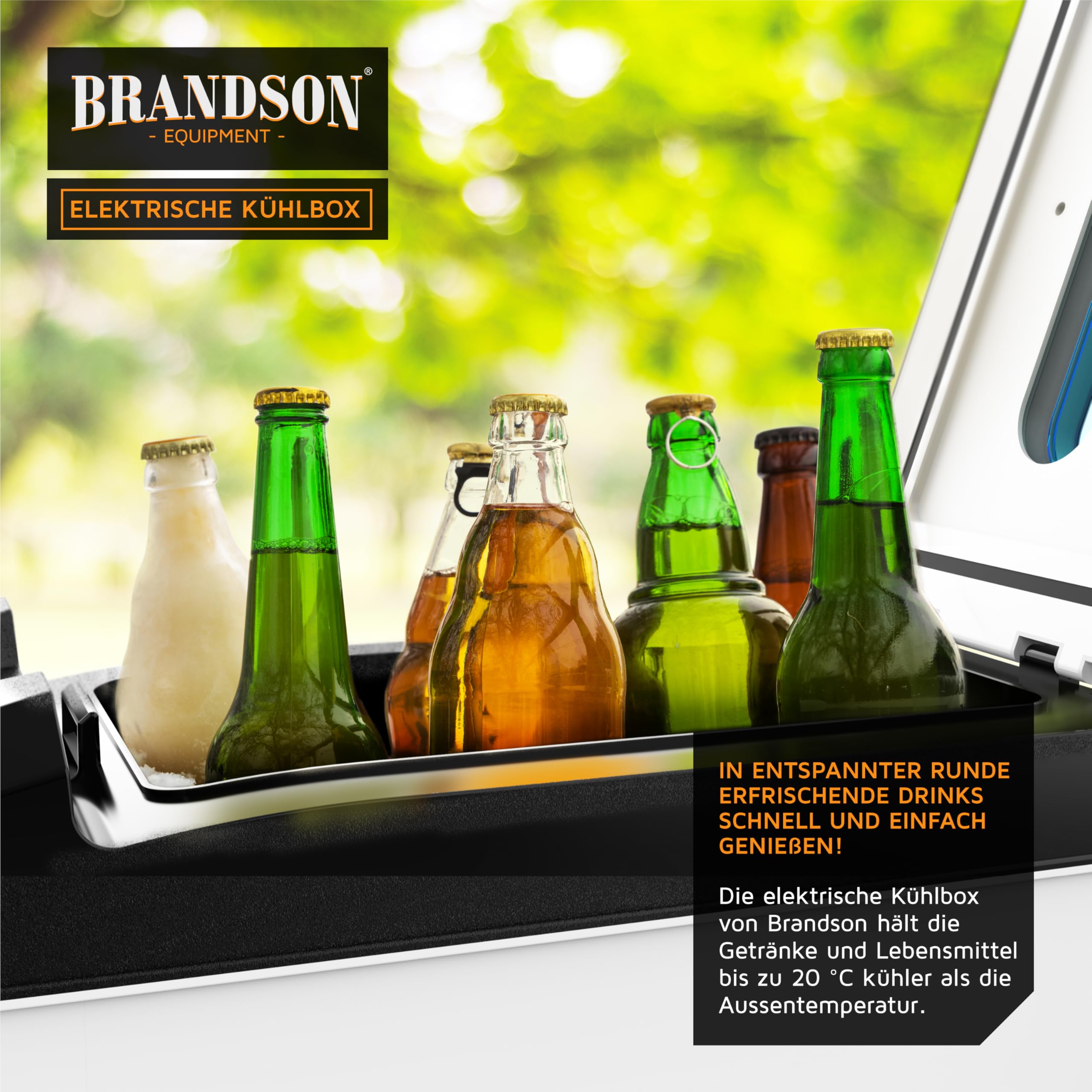 Brandson - Kühlbox elektrisch 10L – 230 V Netzspannung und 12 V KFZ Auto Bordspannung – kühlt und wärmt – Heizen max. 65°C – Herabkühlen ca 20°C unter der Umgebungstemperatur - Weiß
