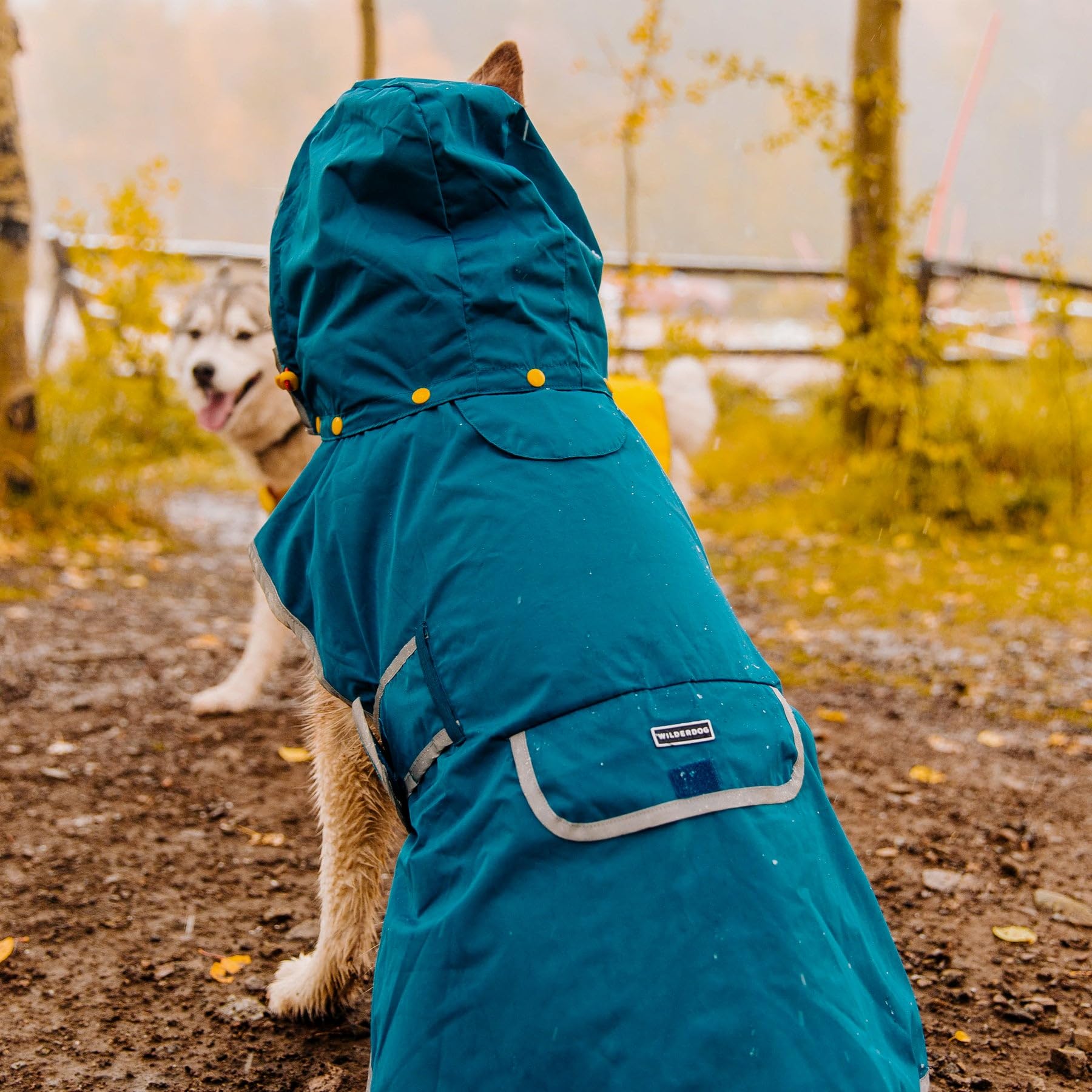 Wilderdog Chaqueta impermeable para perro con interior transpirable, capucha extraíble, correa de torso, cierres seguros, bolsillo trasero y dos trabillas para colgar, plegable en el bolsillo trasero