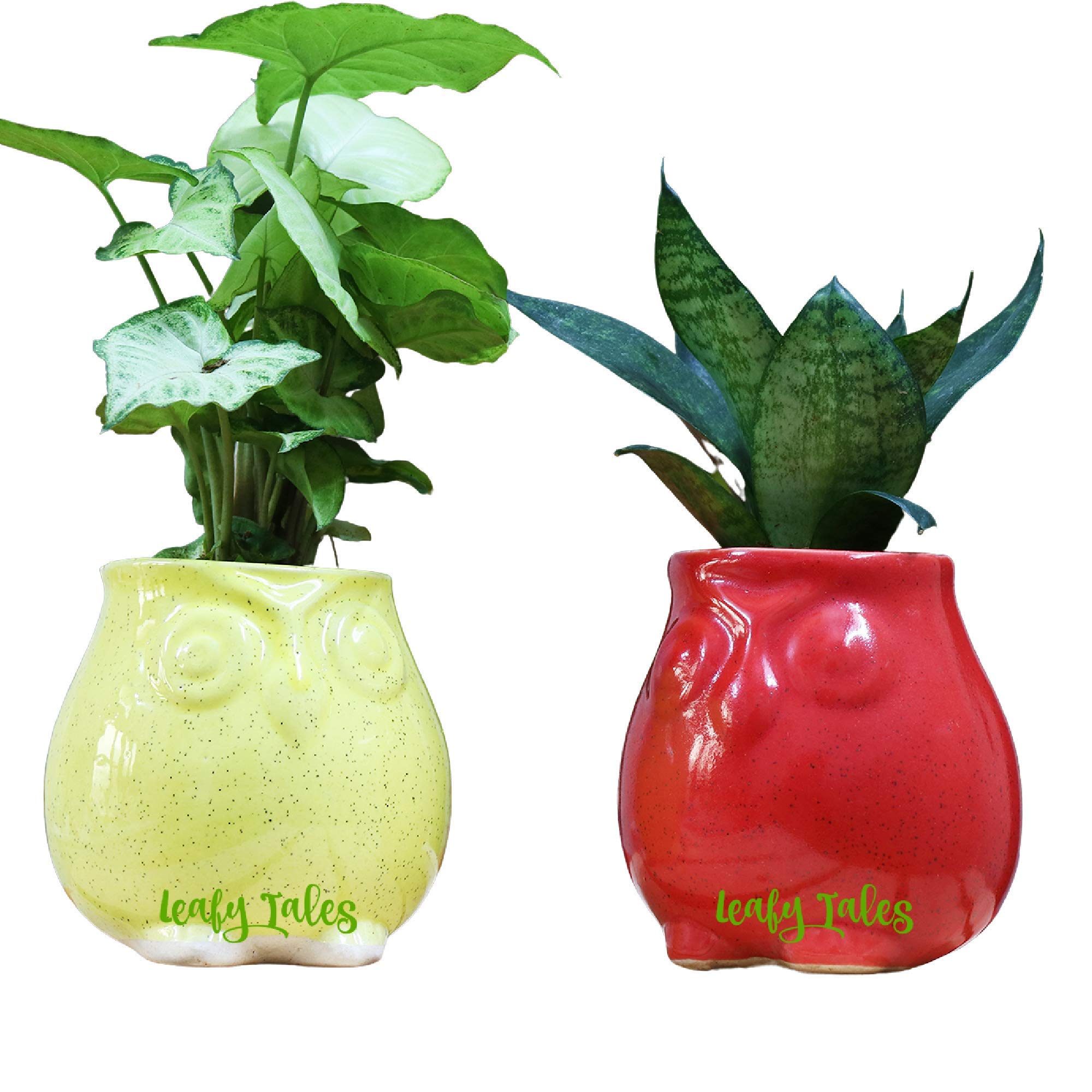 Leafy Tales Owl Shape Ceramic Pot Set of 2, Pot Only | Home Décor (Multicolor)