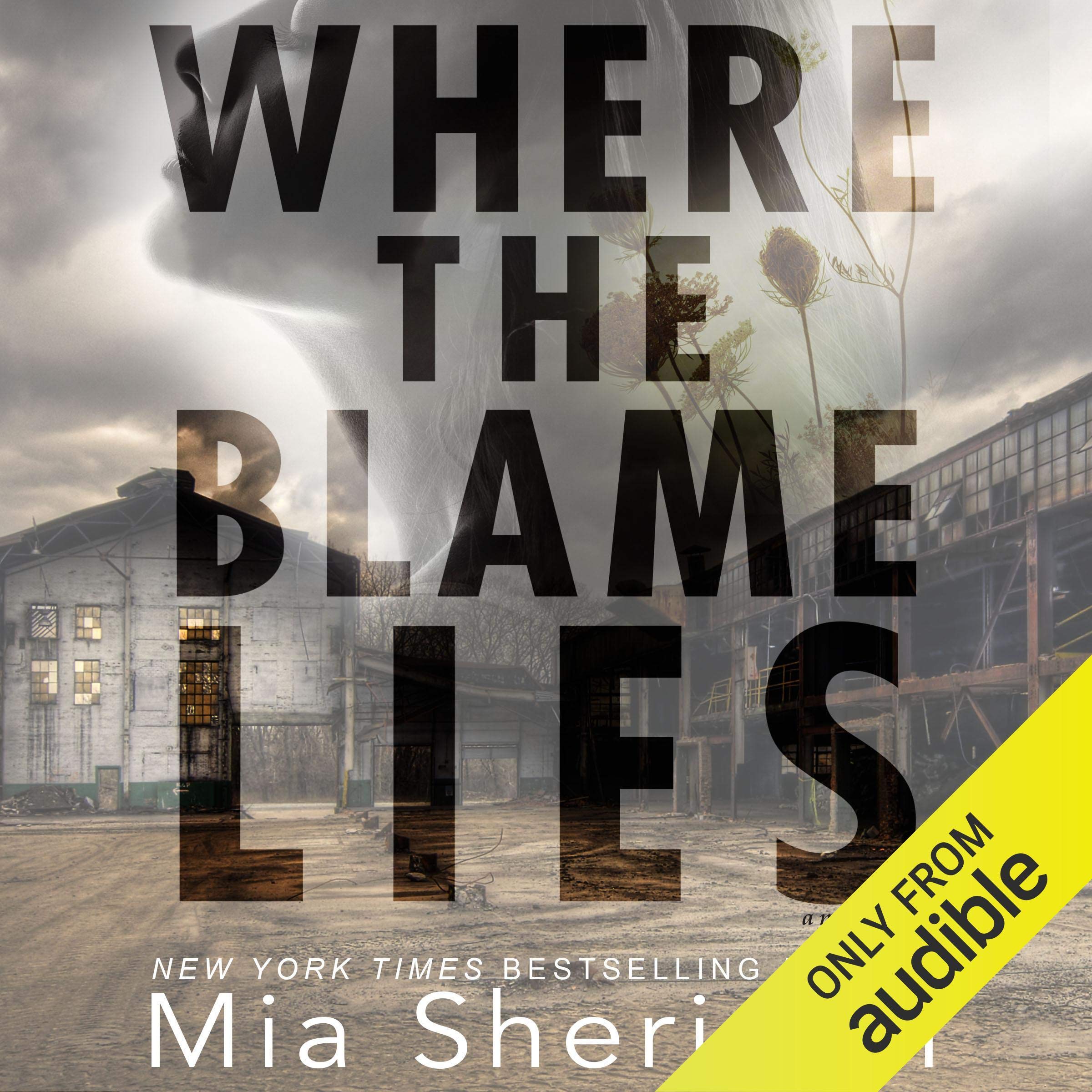 Cover art for Where the Blame Lies