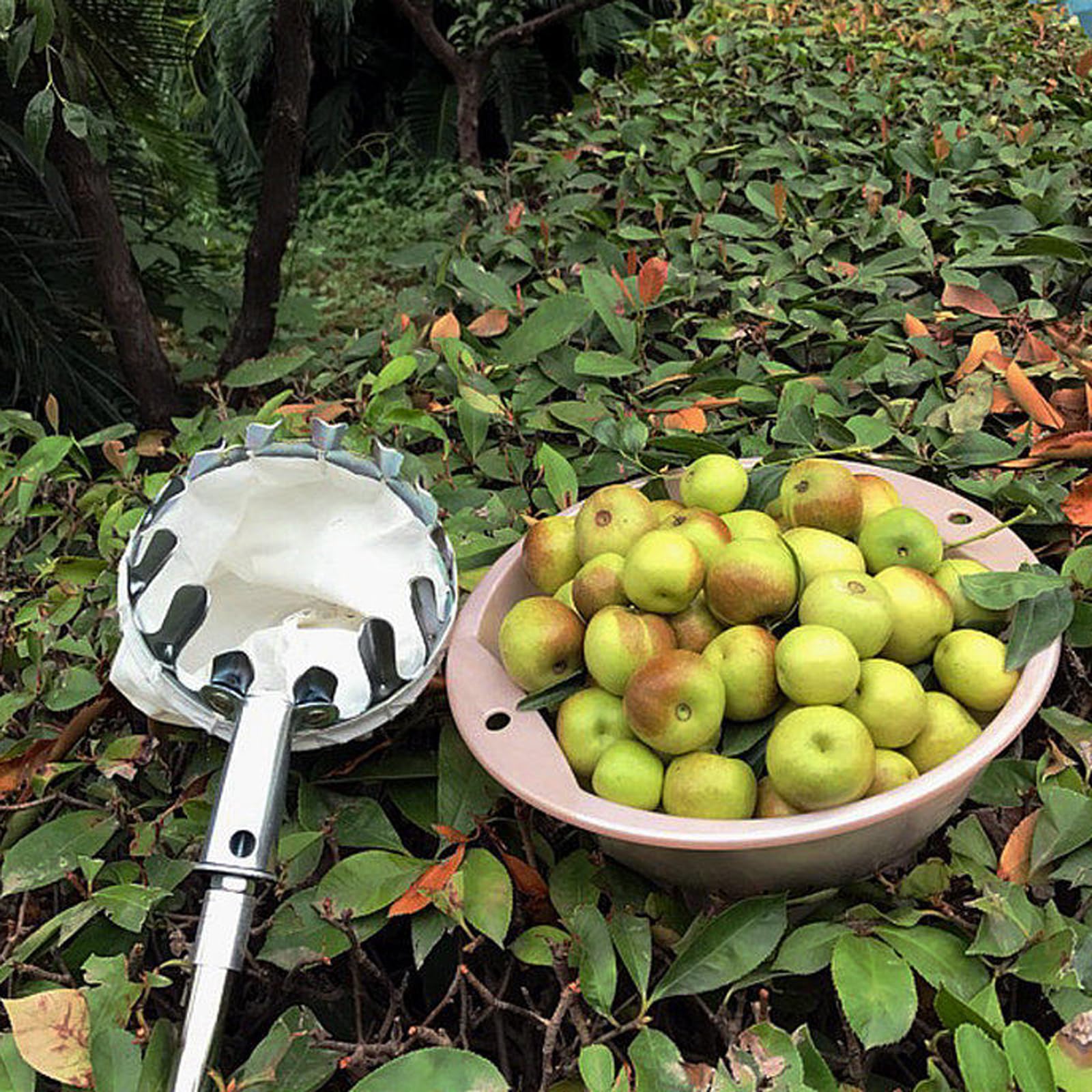 Asticcio Raccoglifrutta Telescopico,Bastone Raccogli Frutta,Raccoglitore di Frutta Fatto in Acciaio Inossidabile,Portatile,Facile da Montare,per Limoni Mele Pere Arance