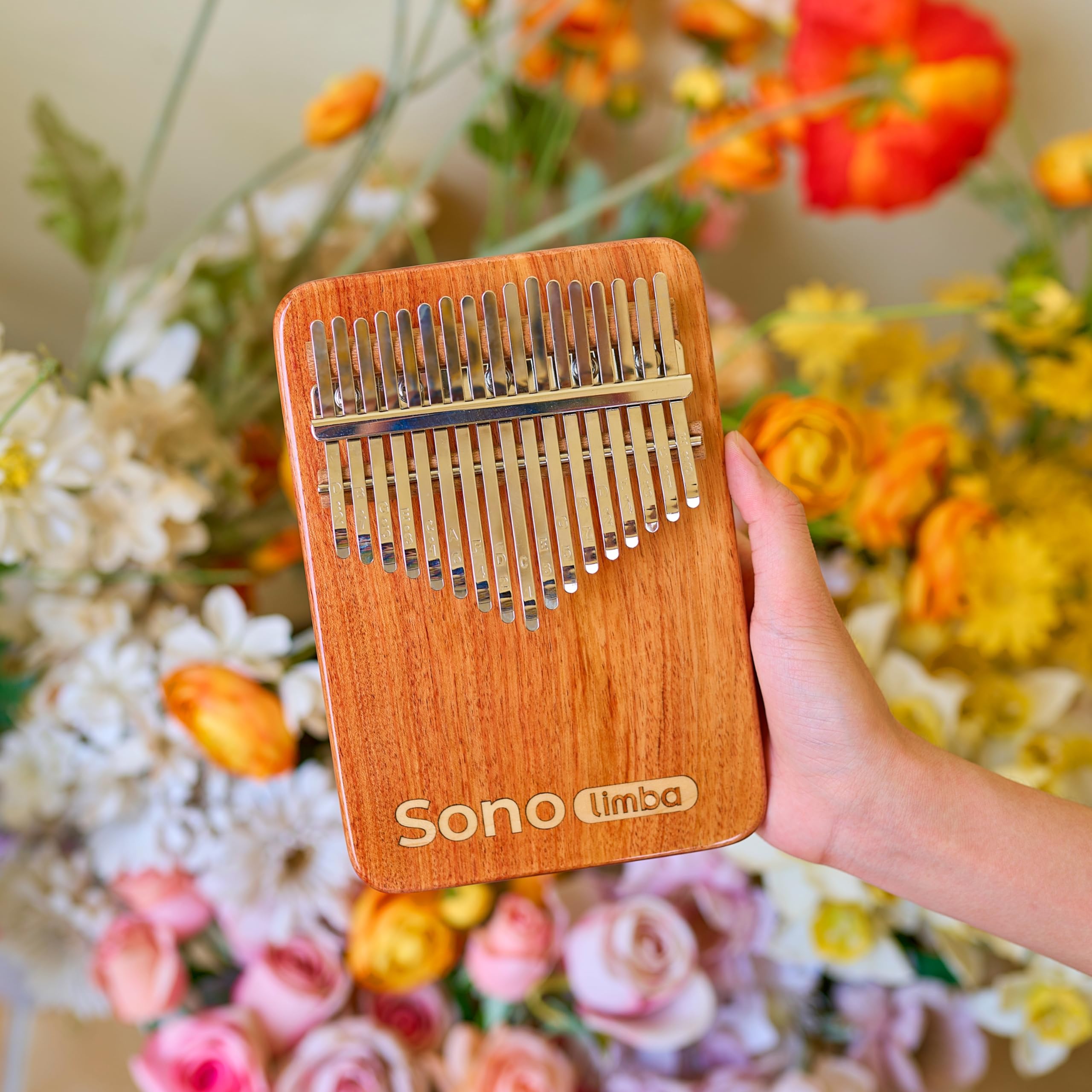 Kalimba avec 17 clés - Piano à pouces en bois de corail africain de haute qualité. Piano portable avec pochette, livre de chansons gratuit. Instrument de percussion pour enfants et adultes