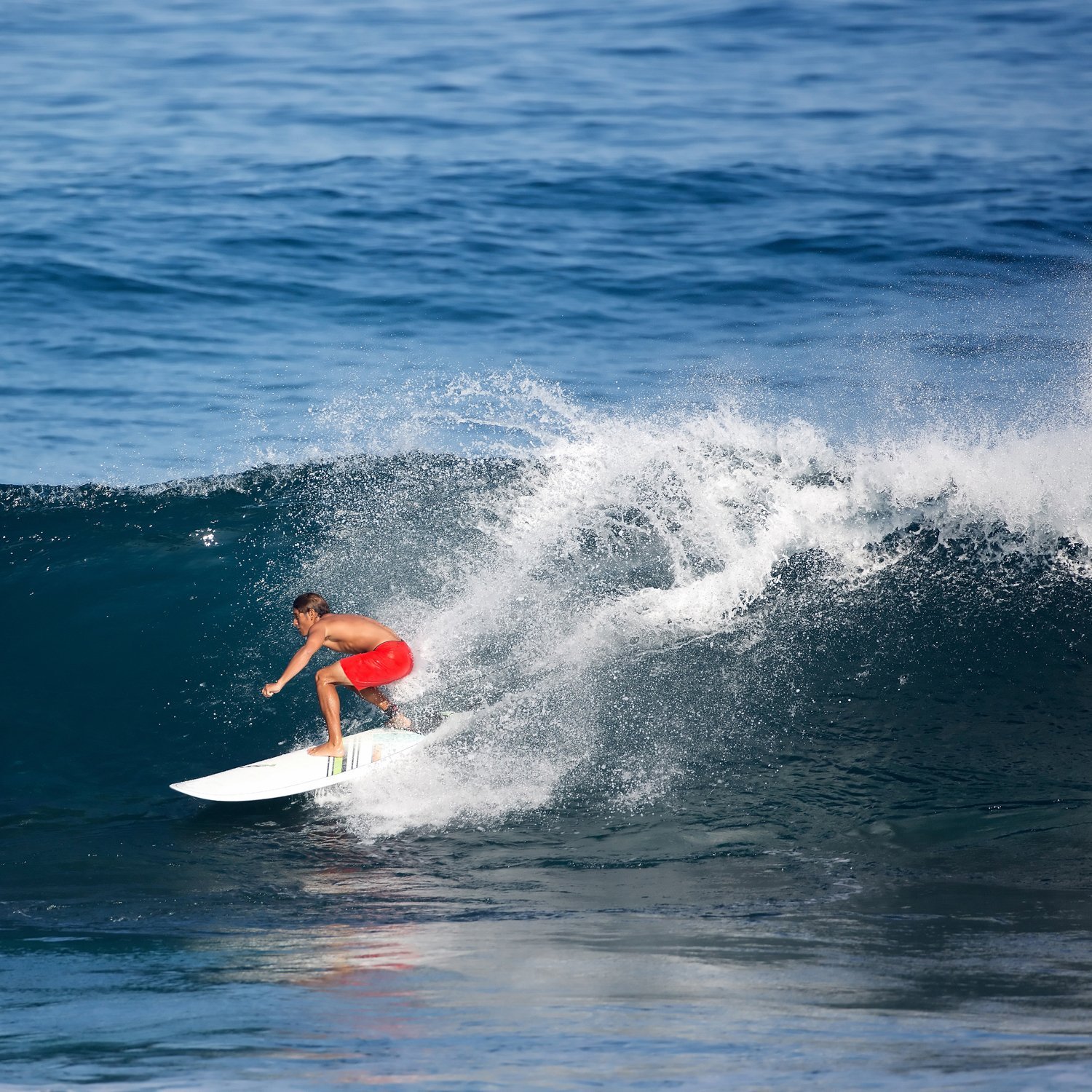 Amazon | NSP 2016 SURFBOARD FISH 6'4