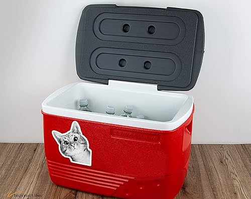 Miniatura 5 de IMPERIAL VIBES Pegatina de gato Peeking Cute - Adhesivo de vinilo para automóvil, camión y camioneta- Uso en interiores y exteriores para