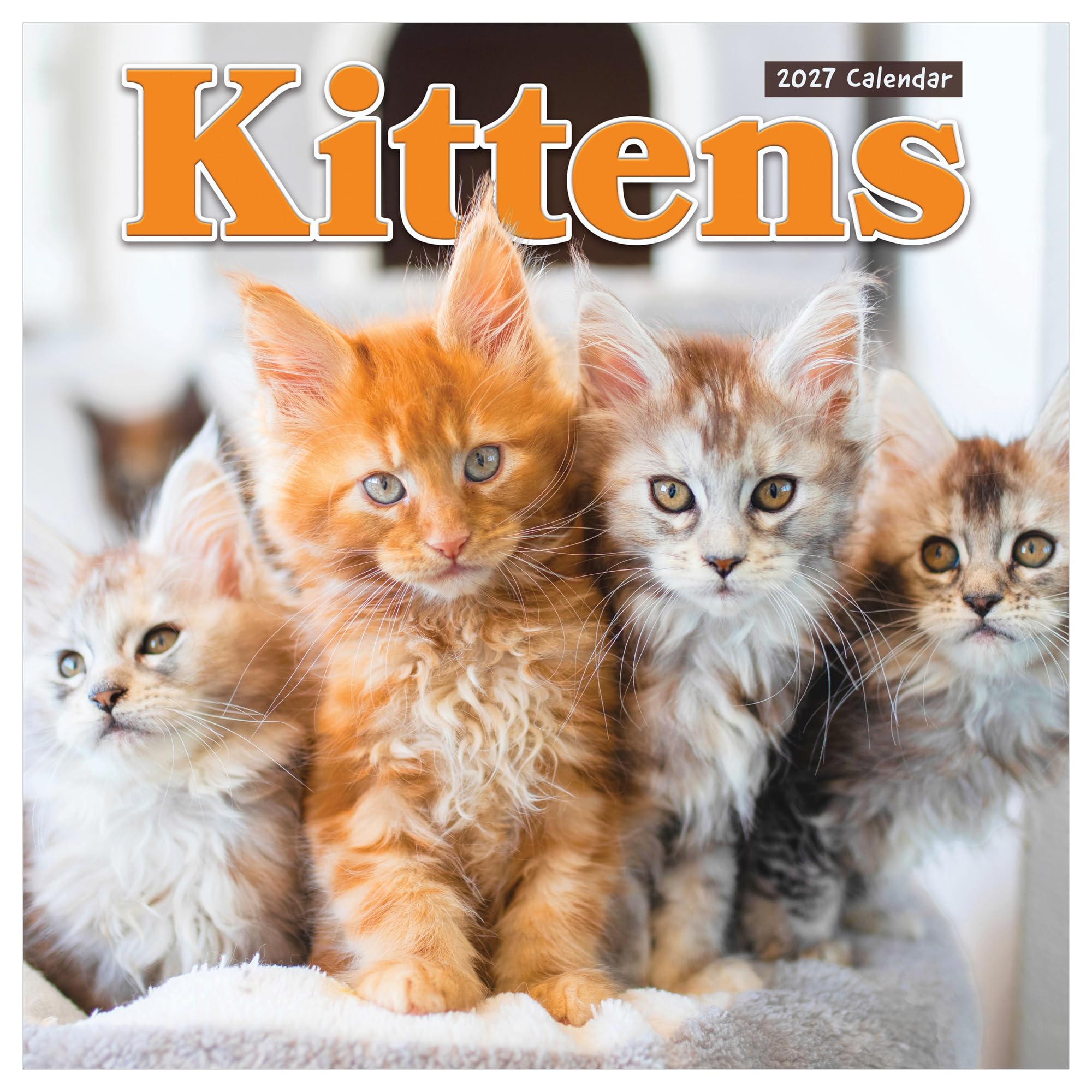 Amazon.com: TF Publishing 2027 Kittens Wall Calendar - 12 x 12