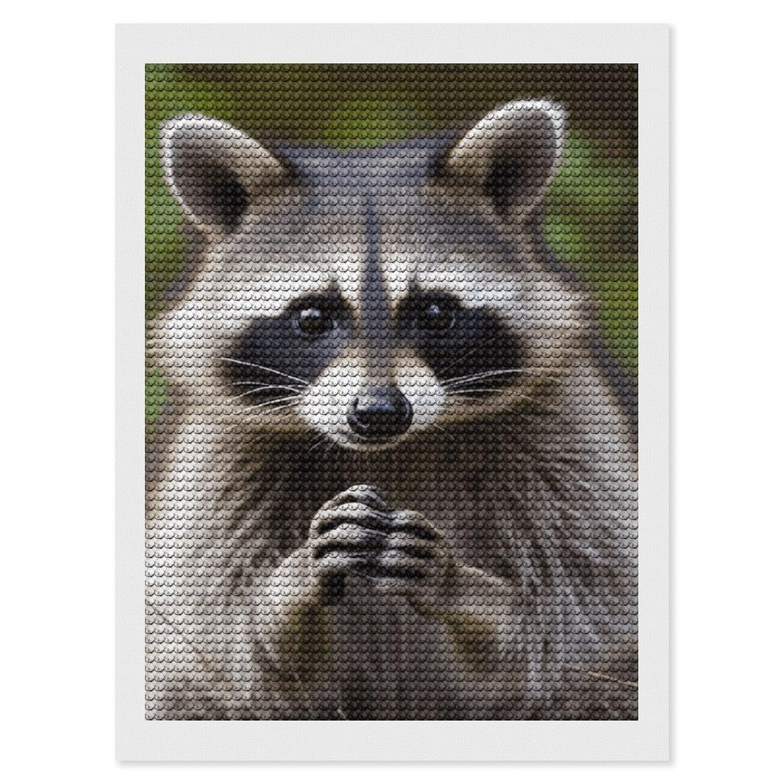 FekiLoot Cute Raccoon Diamond Art Kits for Adults, 5D Aurora Diamond Painting Kits for Beginners DIY Full Drill Dots Gem Art Paint Crafts for Home Wall Decor 12"x16"