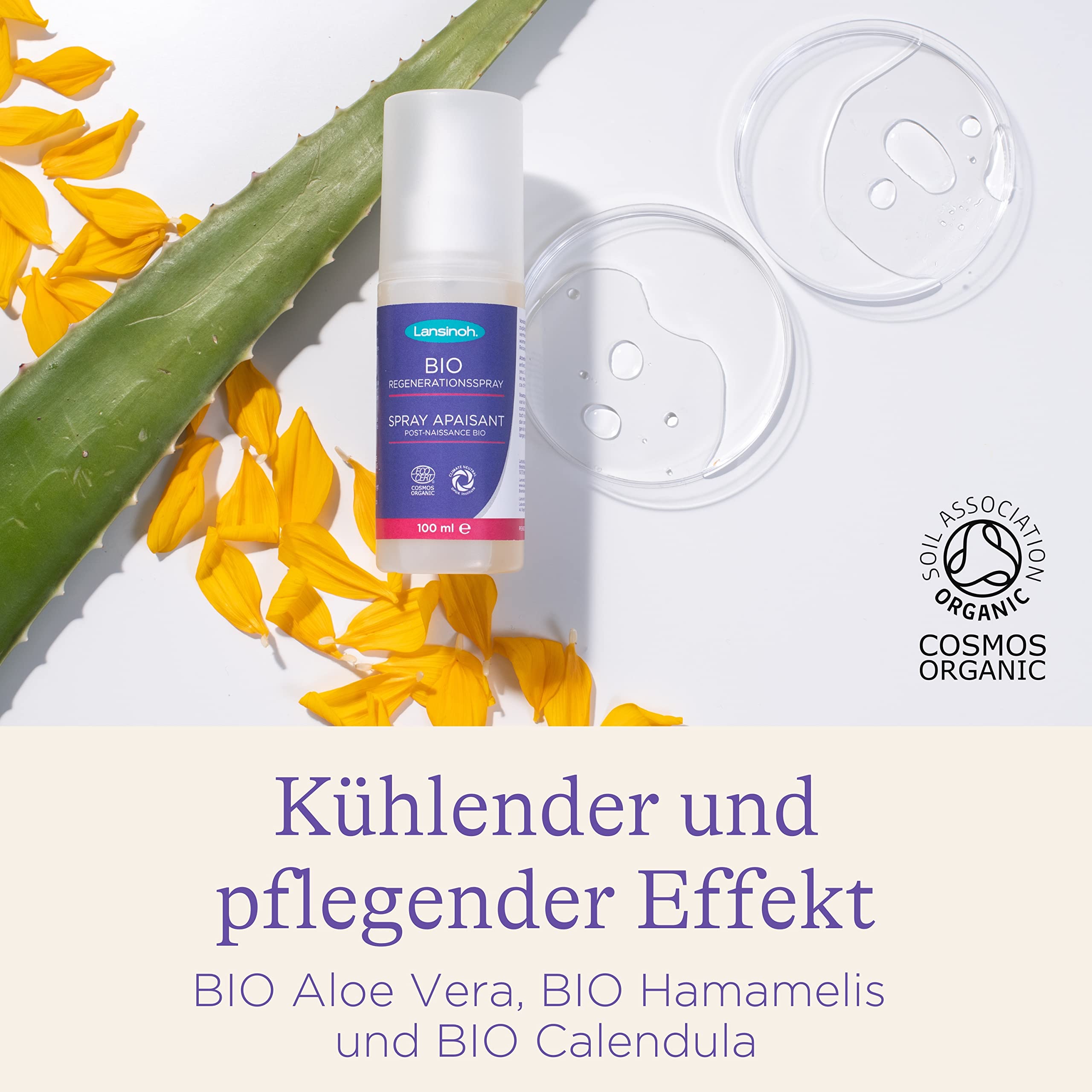 Lansinoh Wochenbett Set - BIO Regenerationsspray, Intim-Dusche & Wochenbett-Kompresse