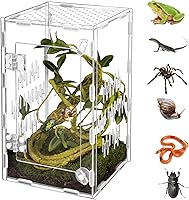 Orekemo Acrylic Reptile Terrarium 9.8x5.9x5.9in - Easy Assembly, 360° Clear View, Secure for Jumping Spiders, Tarantulas, Geckos