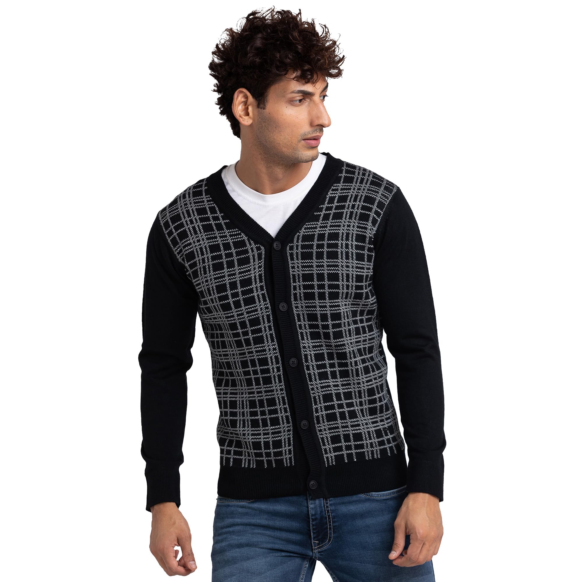 parx Men Regular Fit Jacquard Pattern Pure Acrylic Full Sleeve V Neck Casual Sweater-picture-38