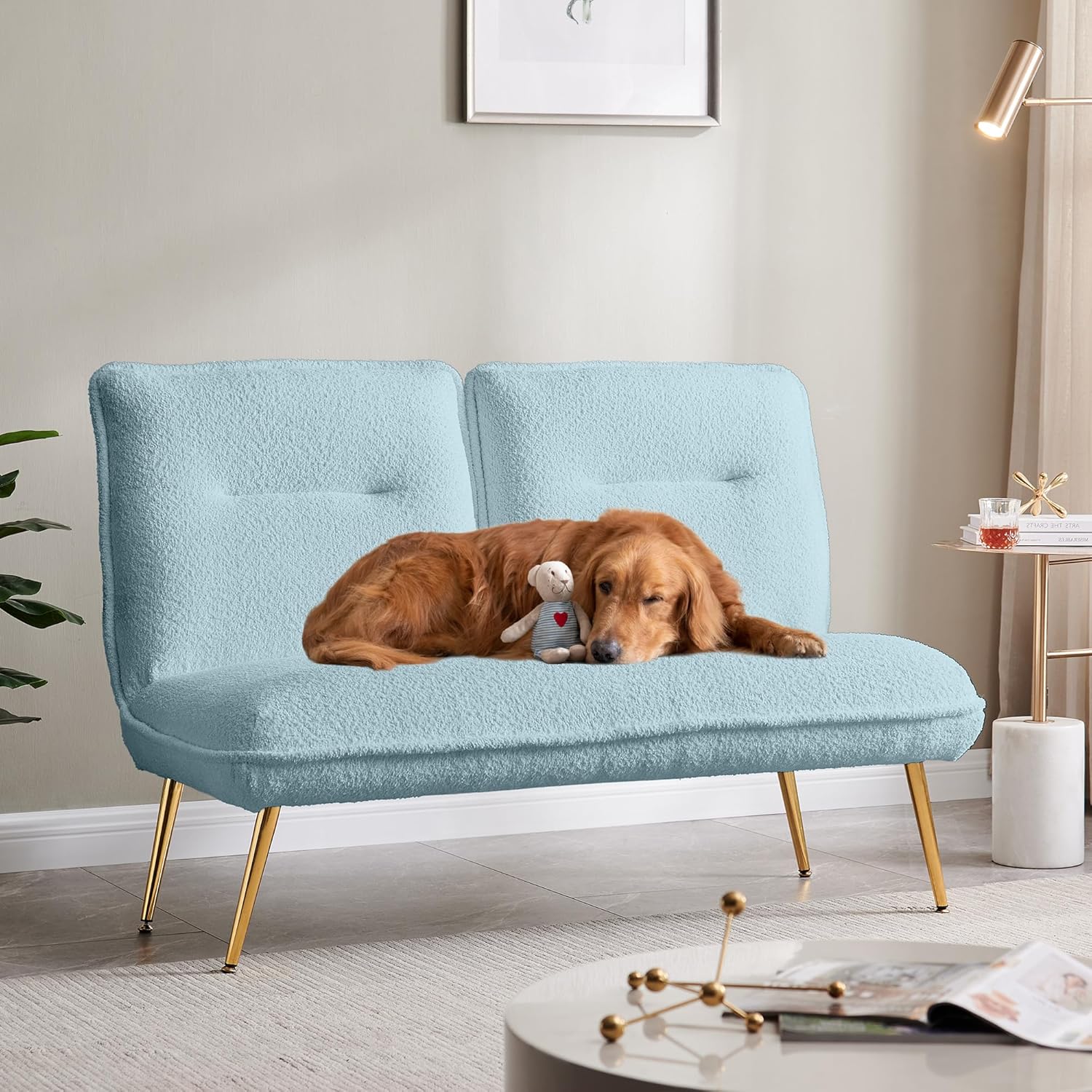 Amazon.com: RXRRXY Modern Small Loveseat - Convertible Folding Couch ...