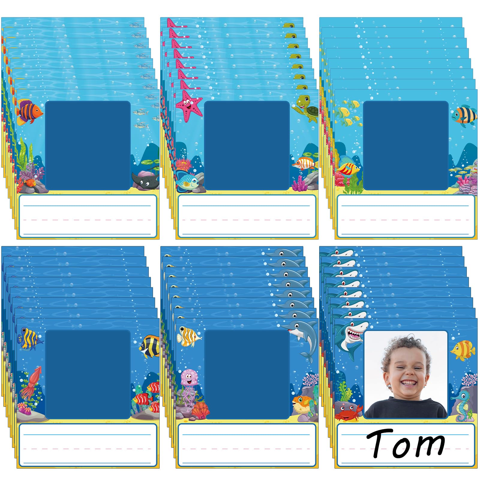 Feifeiya 48 Pcs Photo Nameplates for Desk Name Tags Labels Stickers with Photo Space Self-Adhesive Labels Bulletin Board Colorful Indoor Decoration