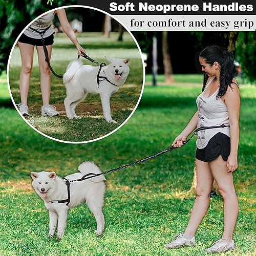 Miniatura 5 de Correa de perro manos libres para perros medianos y grandes, correa de cintura duradera de doble asa con elástico reflectante para correr, caminar,