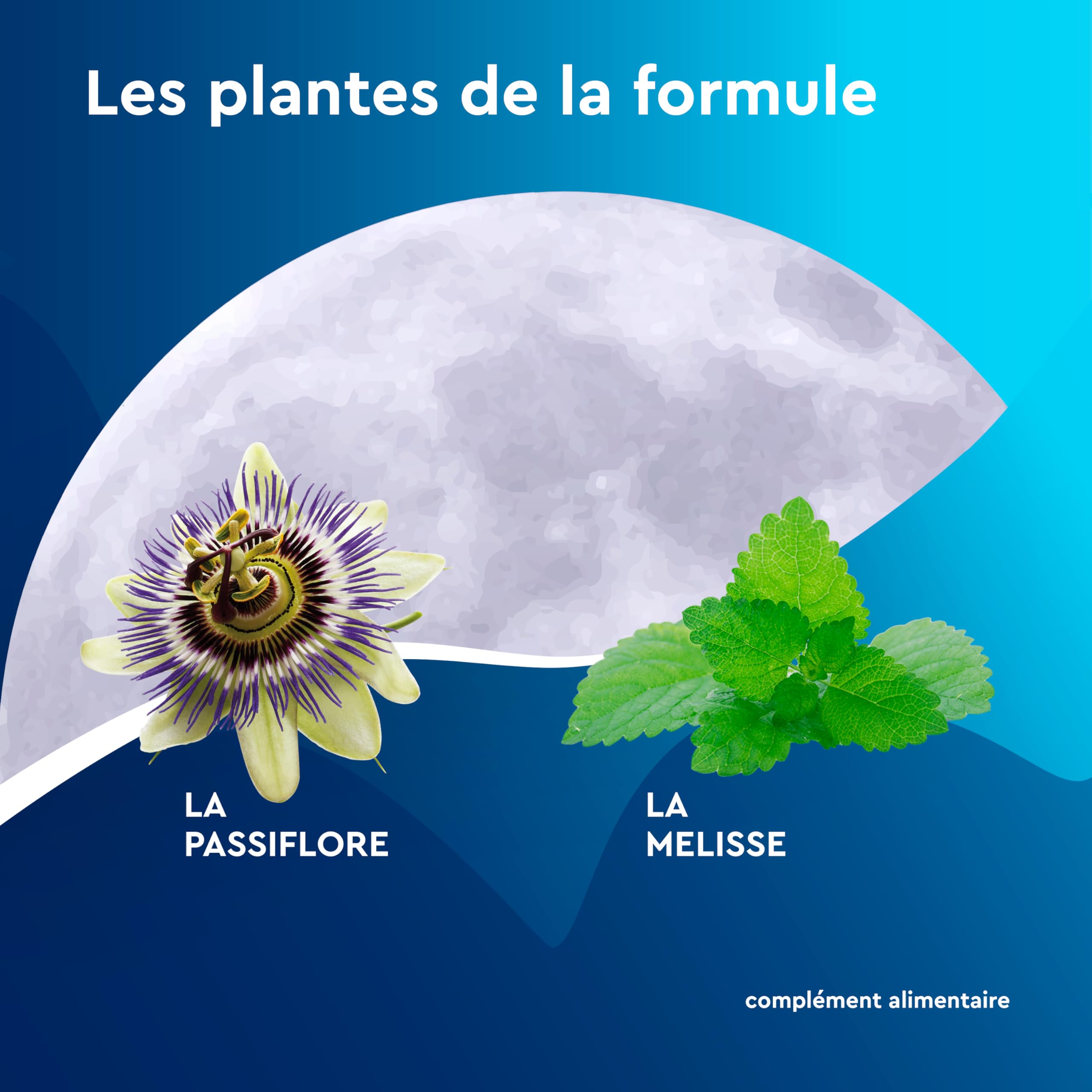 Gummies Sommeil Myrtille, 1 mg Melatonine, complément alimentaire, Vitamine B6, Endormissement plus rapide* - 2x30 Gommes - Sans Sucres - Goût Myrtille - EuphytoseNuit®