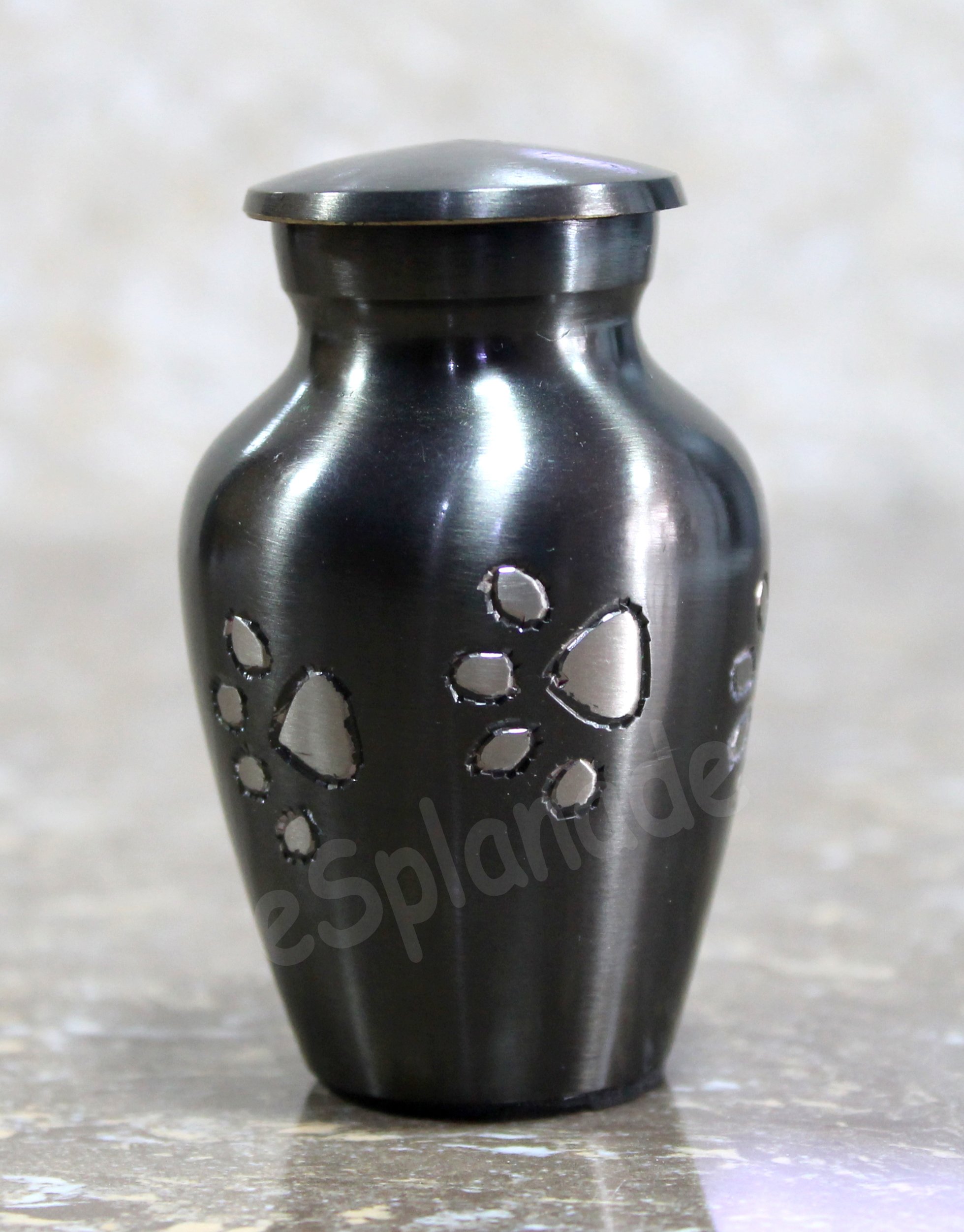 eSplanade Pet Memorial Urn | Brass Metal Burial Urn | Keepsake for Dog & Cat