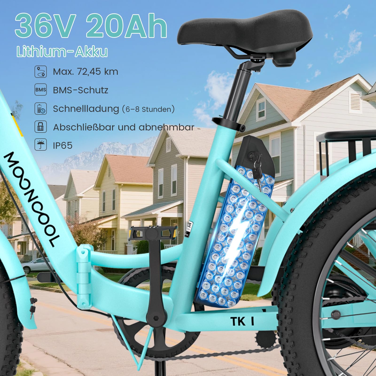 Tricycle Velo Electrique, Pliable VéLo éLectrique E Bike Roues 20 Pouces pour Homme Femmes Et Adulte, avec 36V 20ah Batterie, Moteur 250w, écran LCD, Vitesse 25 Km/H, Ip65 avec Grands Paniers