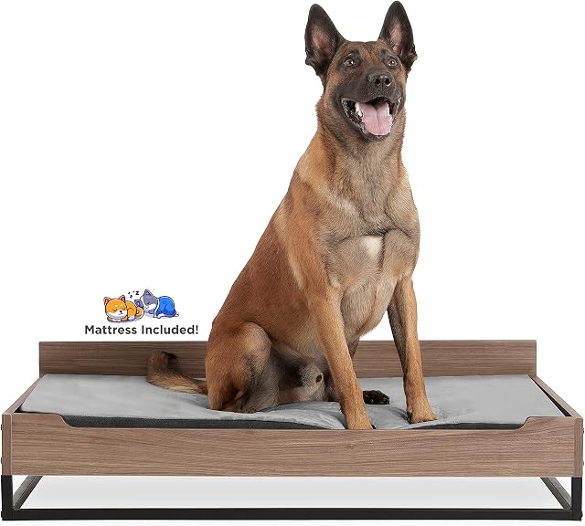 Milo Lit de chien en bois avec matelas imperméable. Grand à extra grand lit de chien élevé. Greenguard Gold Certifié. & Mobilier