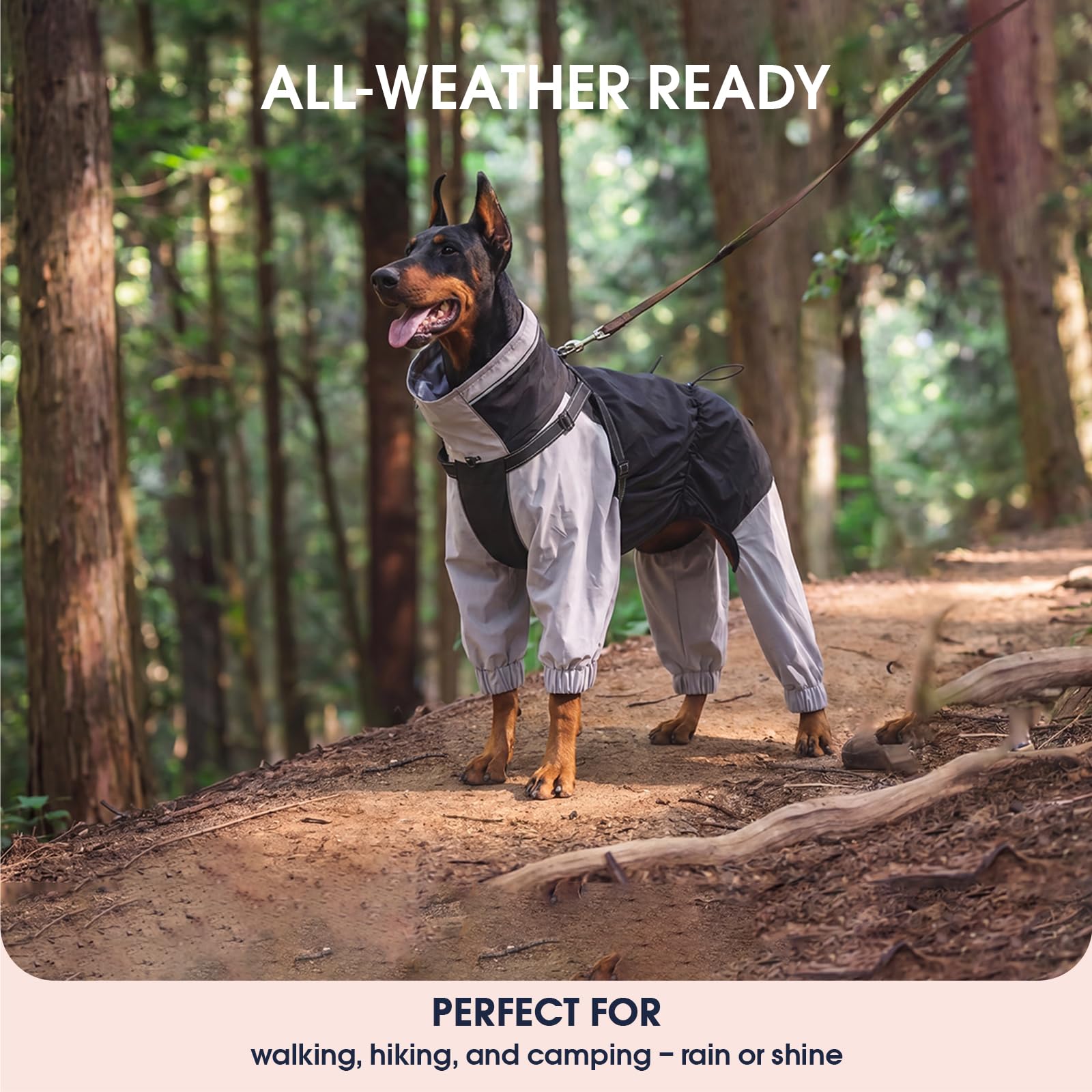 IECOii Hundejacke wasserdicht kleine Hunde Full-Body 4-Leg mit versteckter Kapuze,Reißverschluss und Built-in Harness – Hundejacke Regen,wasserabweisend,leicht,atmungsaktiv,Outdoor,Spaziergänge