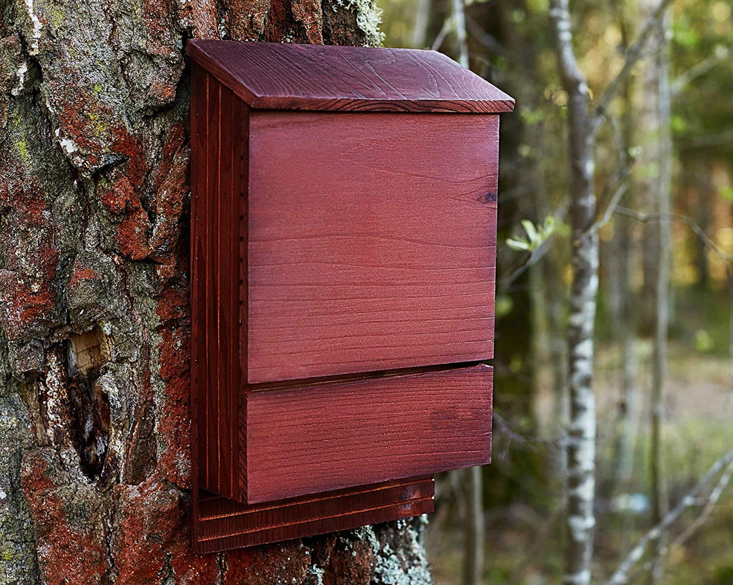 Outdoor Fledermaus-Unterstand mit großem Doppelraum, leicht zu landen und sitzstange, wetterfest