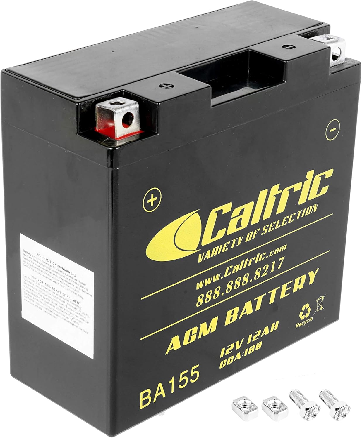 Caltric AGM Battery Compatible with Yamaha FJR1300E