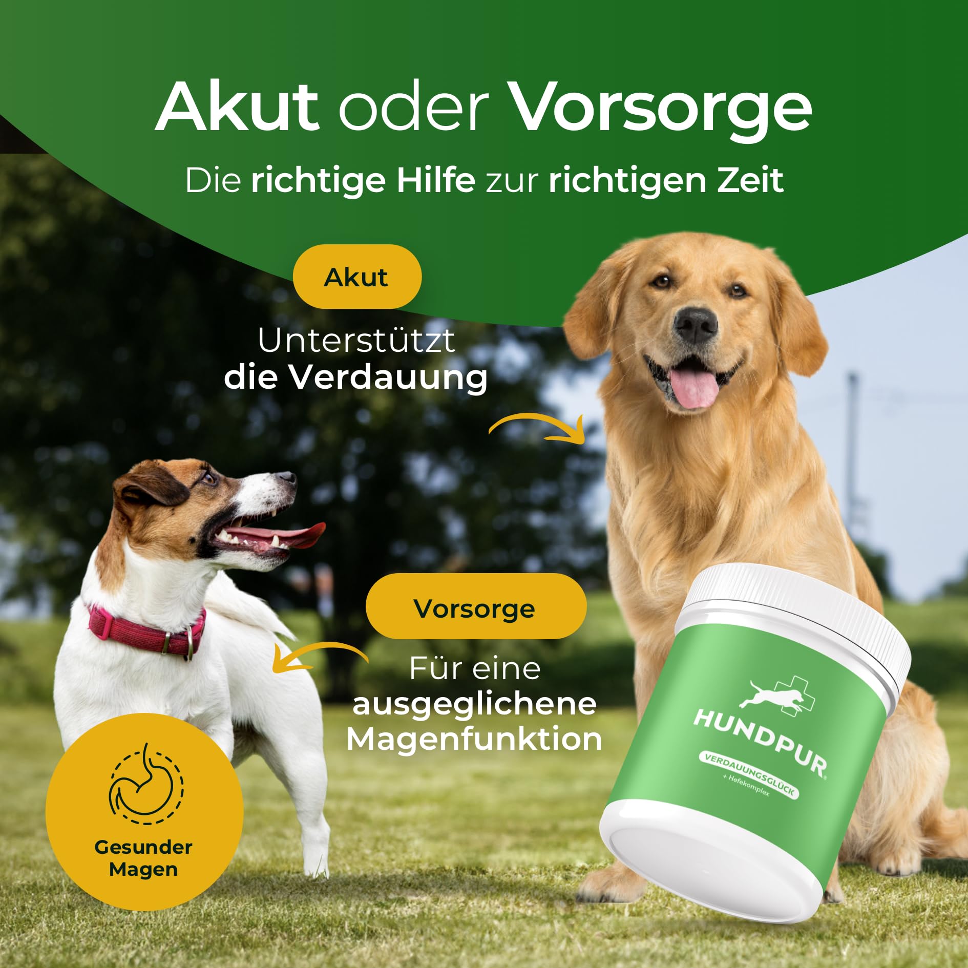 Verdauungsglück 300g - Zusatzfutter - Pellets für Hunde - Präbiotika & Probiotika Pellets - Stabilisierung der Physiologischen Verdauung