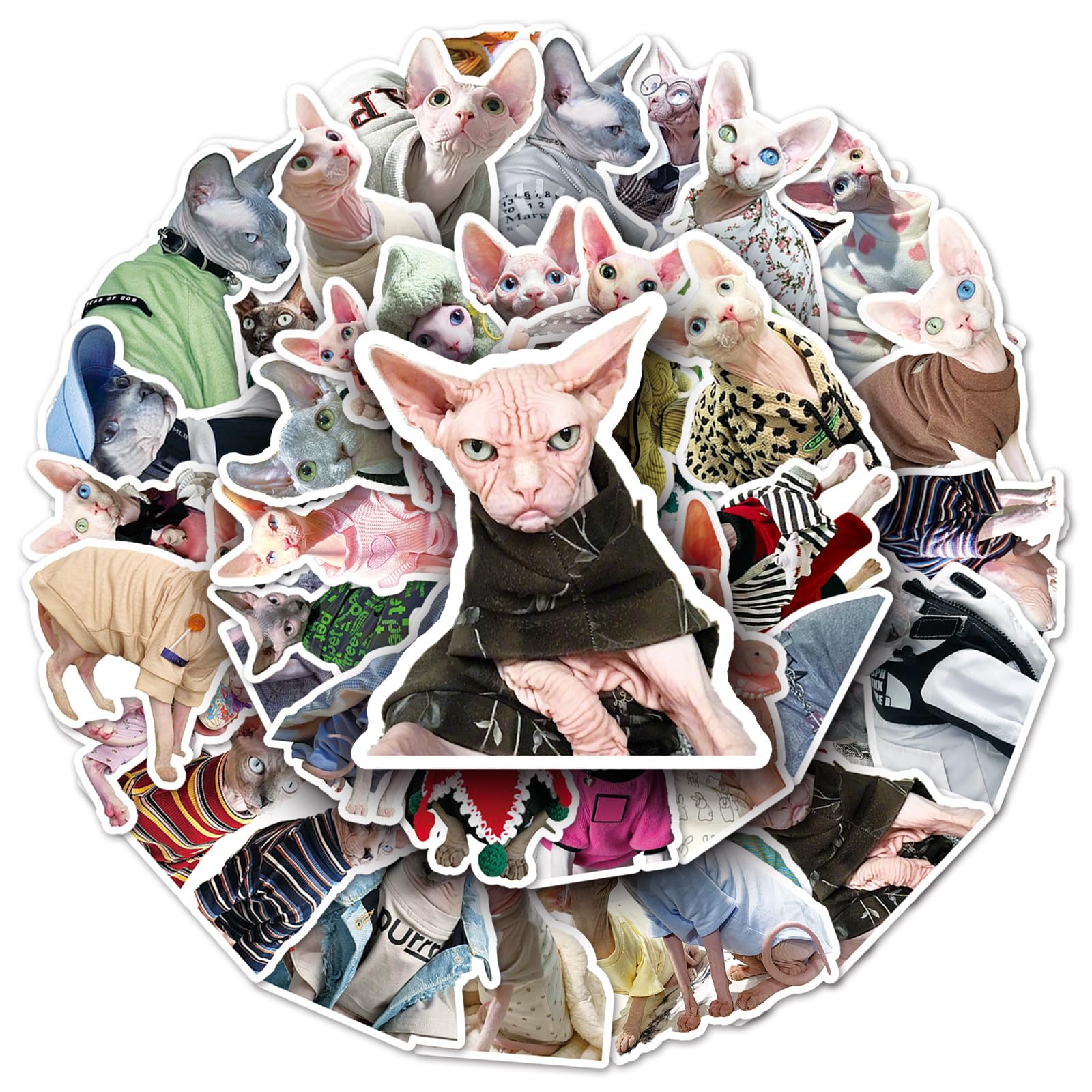 Bric dodo 50Pcs Sphynx Cat Stickers, Waterproof & Reusable, PVC Material, Dark Mystical Style, Perfect for Plastic & Metal Surfaces, Ideal for Laptops, Skateboards, Cars & More