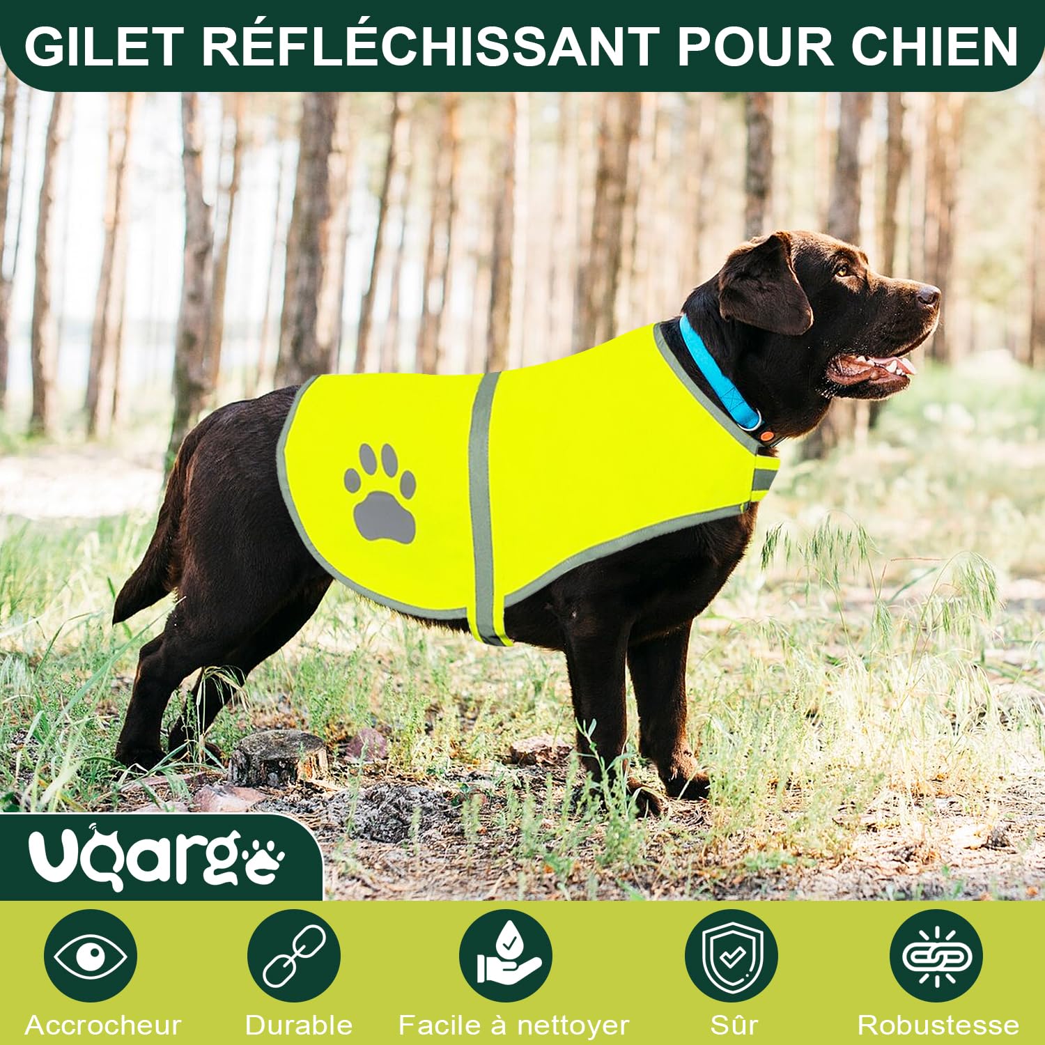 Voarge Gilet de Sécurité Réfléchissant pour Chien, Haute visibilité, Veste réfléchissant Vest de sécurité Veste d'animal de Compagnie pour Nuit à l'extérieur (Jaune, L)